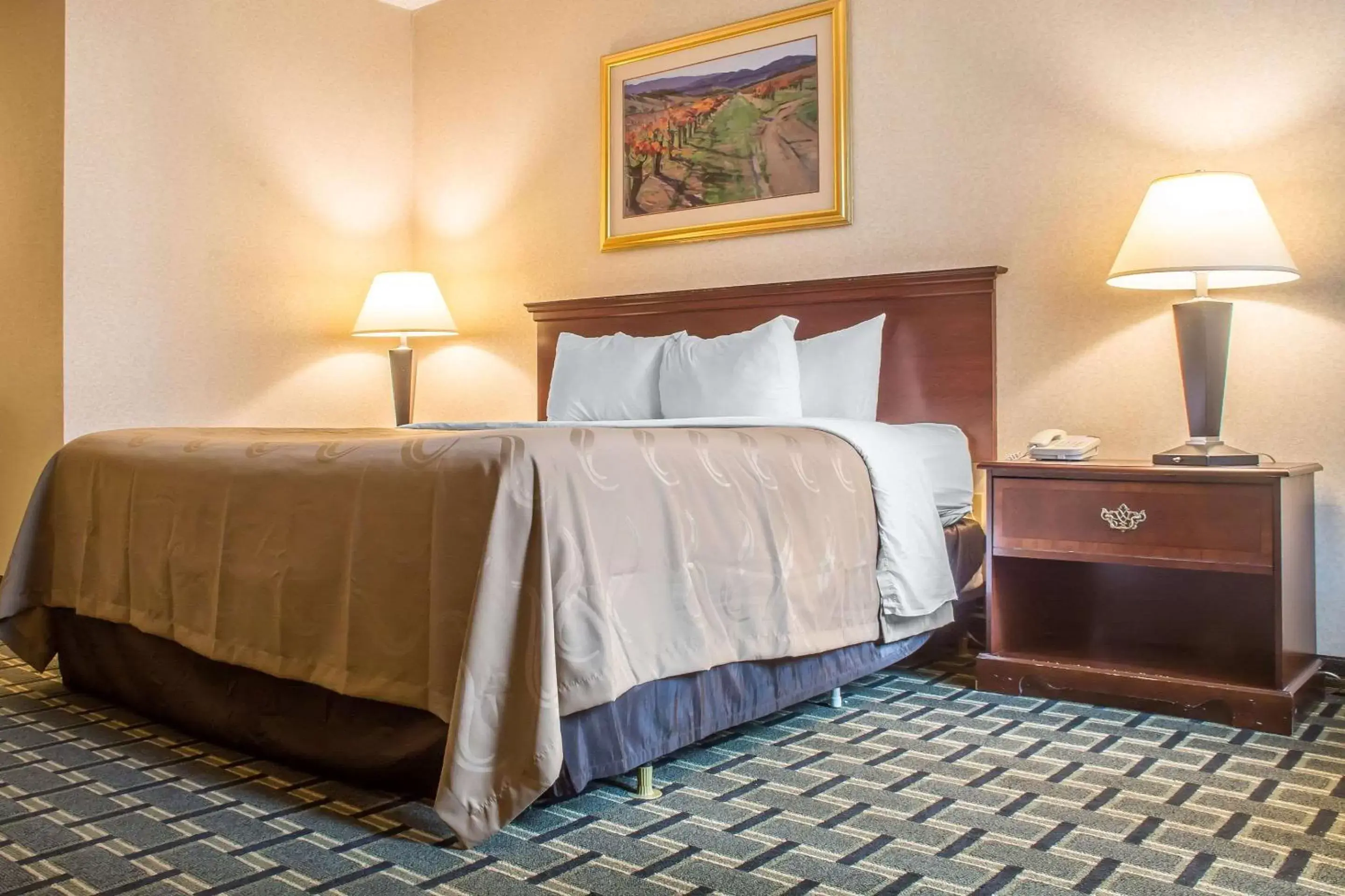 Photo of the whole room, Bed in Quality Inn & Suites Palm Island Indoor Waterpark