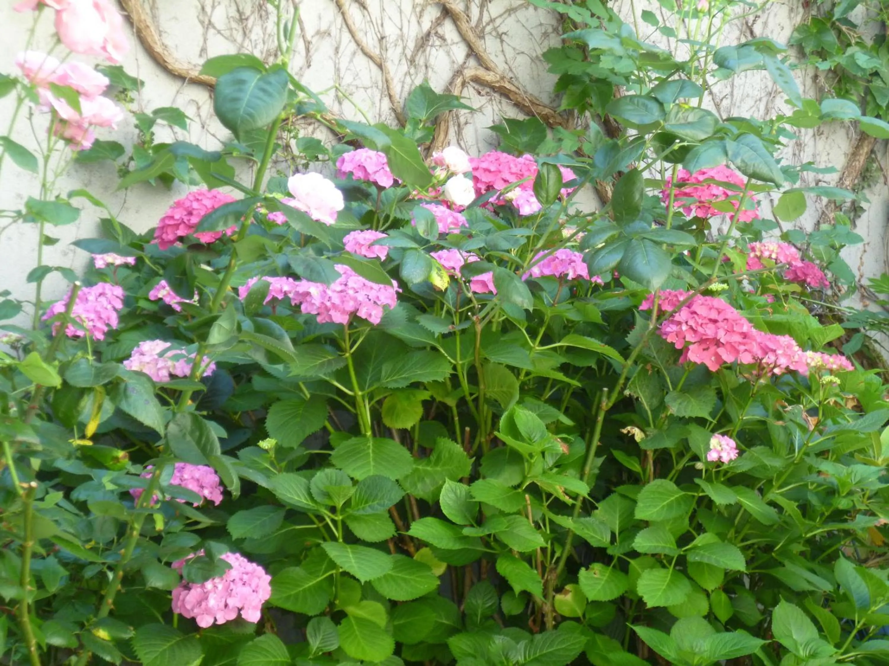 Other in Hôtel Beauséjour