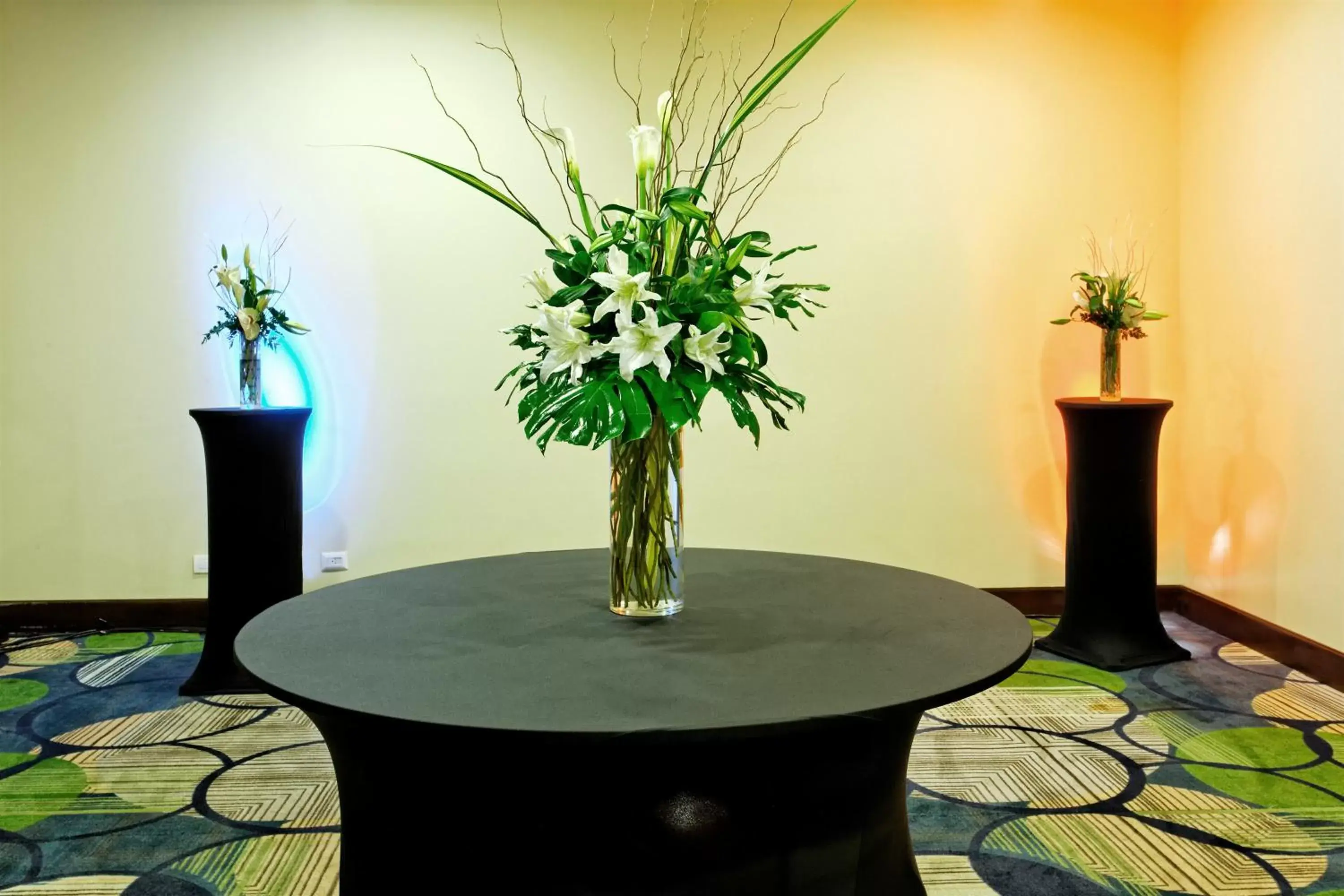 Banquet/Function facilities, Dining Area in Holiday Inn Santo Domingo, an IHG Hotel