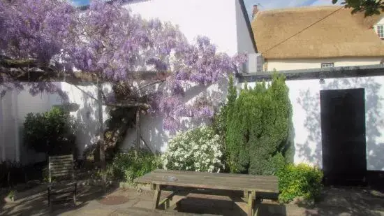Garden in Thorverton Arms