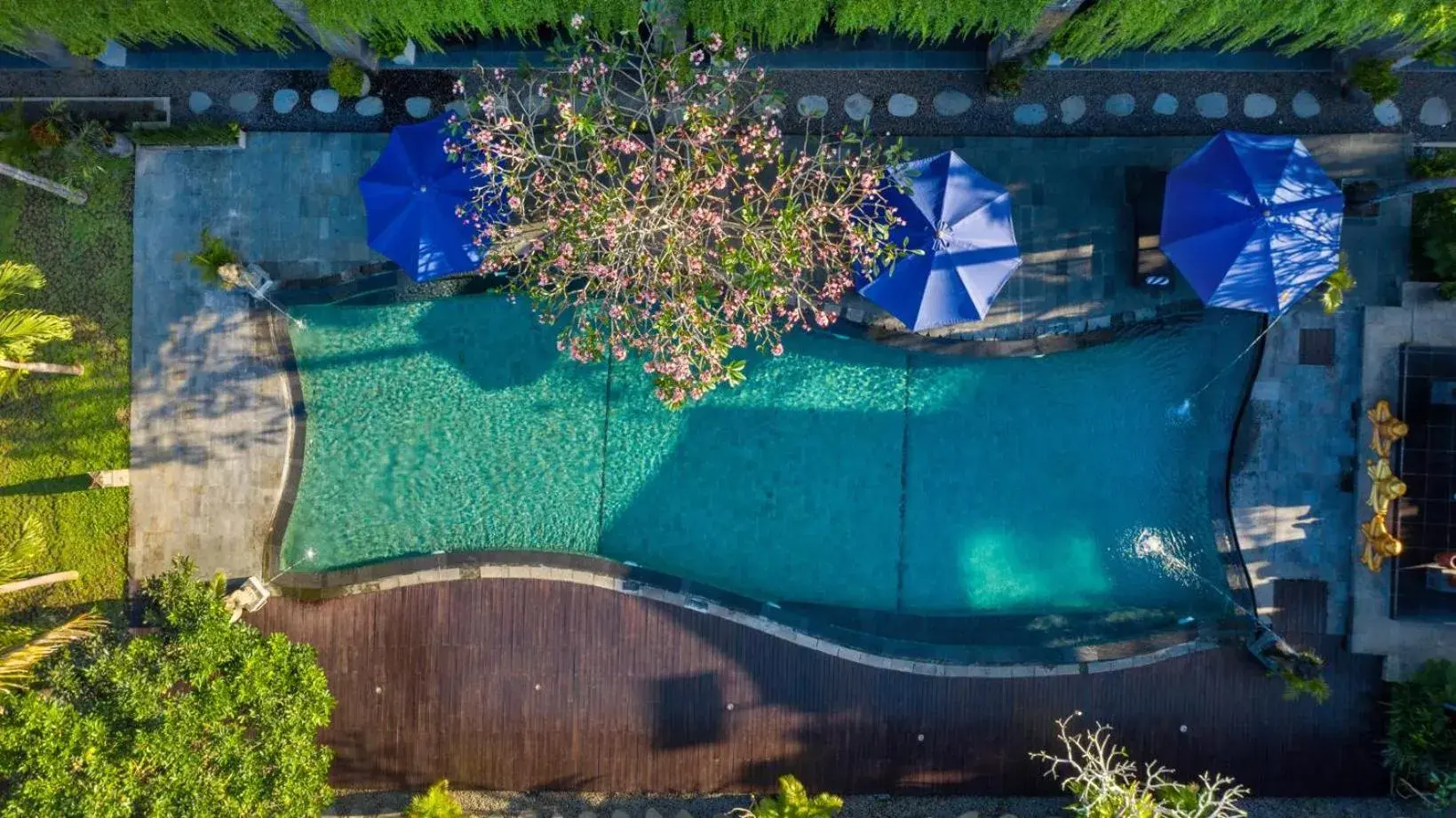 Swimming pool, Pool View in Ubud Raya Shala