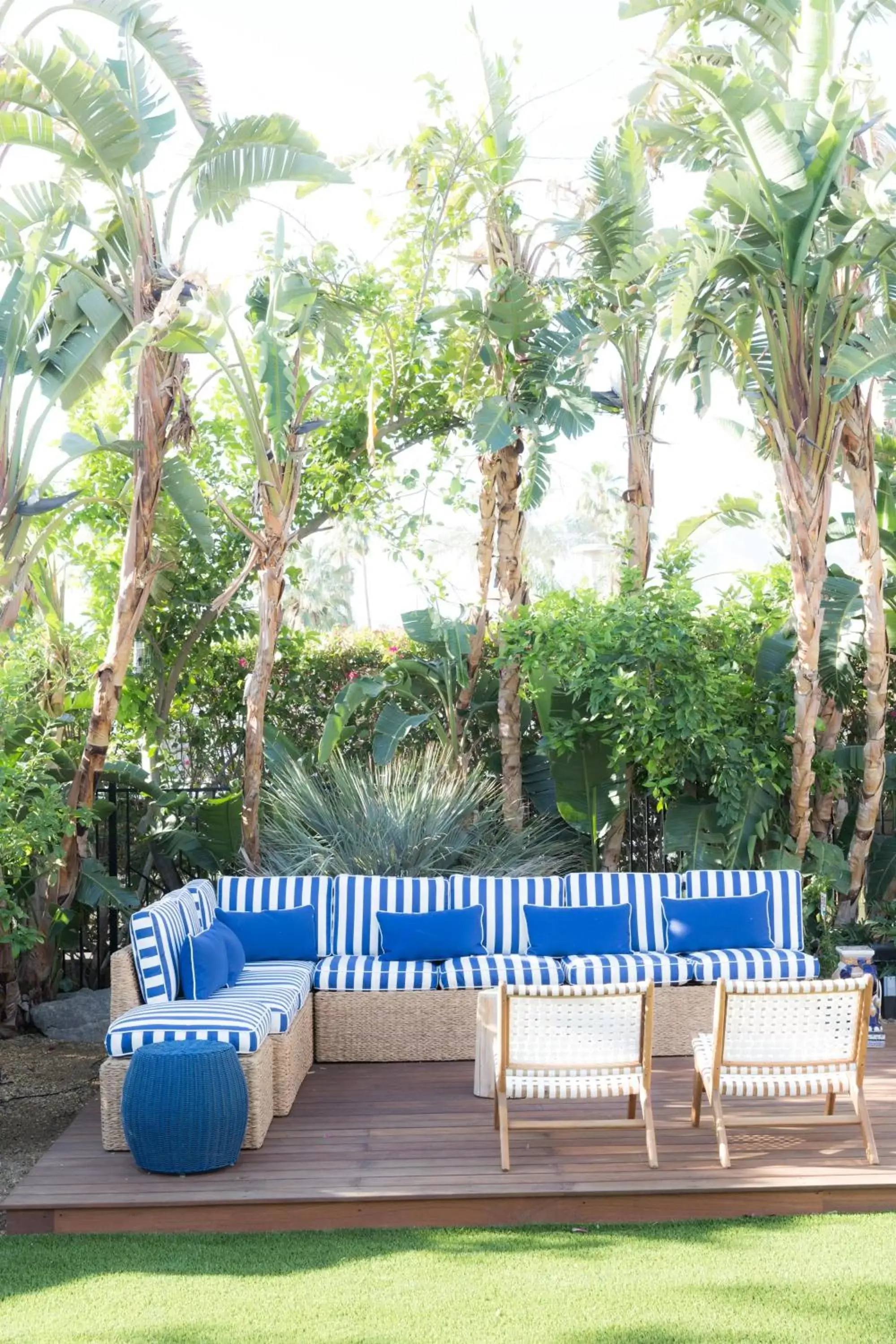 Garden in Holiday House Palm Springs