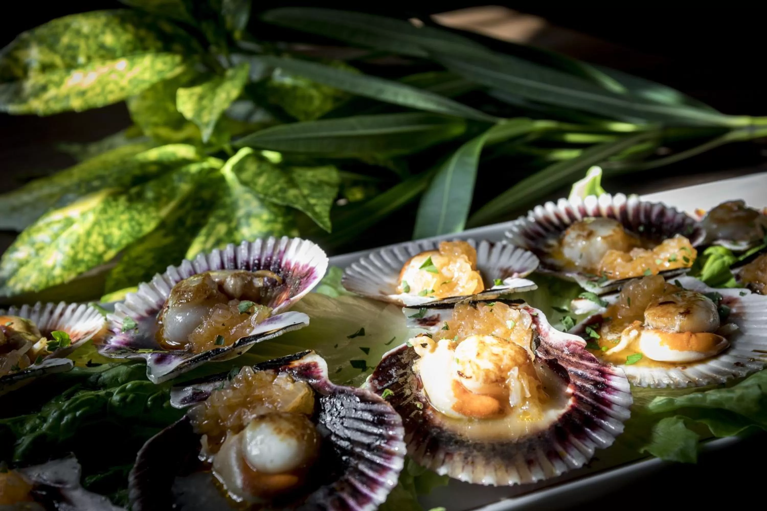 Food close-up in Parador de Cambados