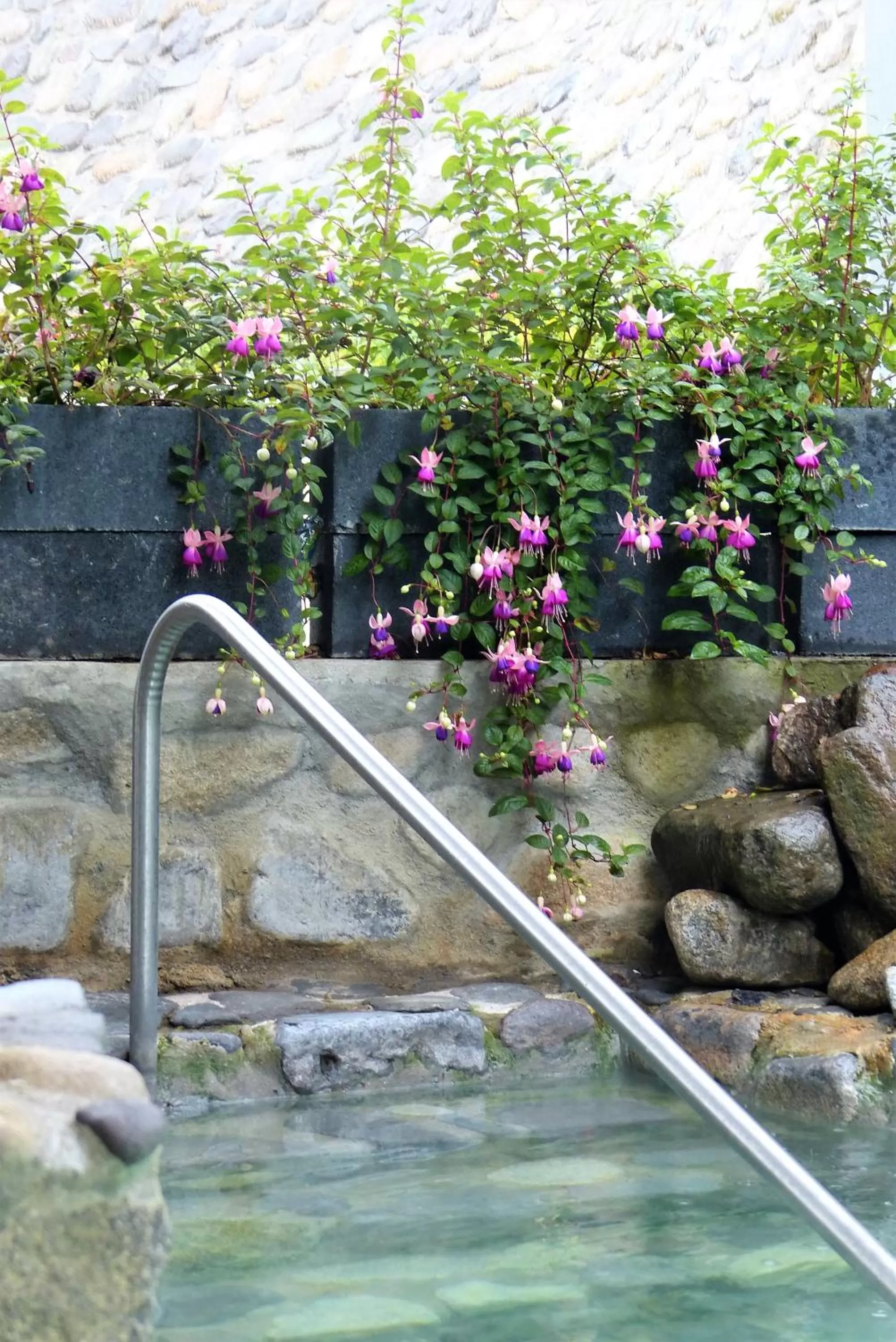 Natural landscape in Hotel Termales Tierra Viva