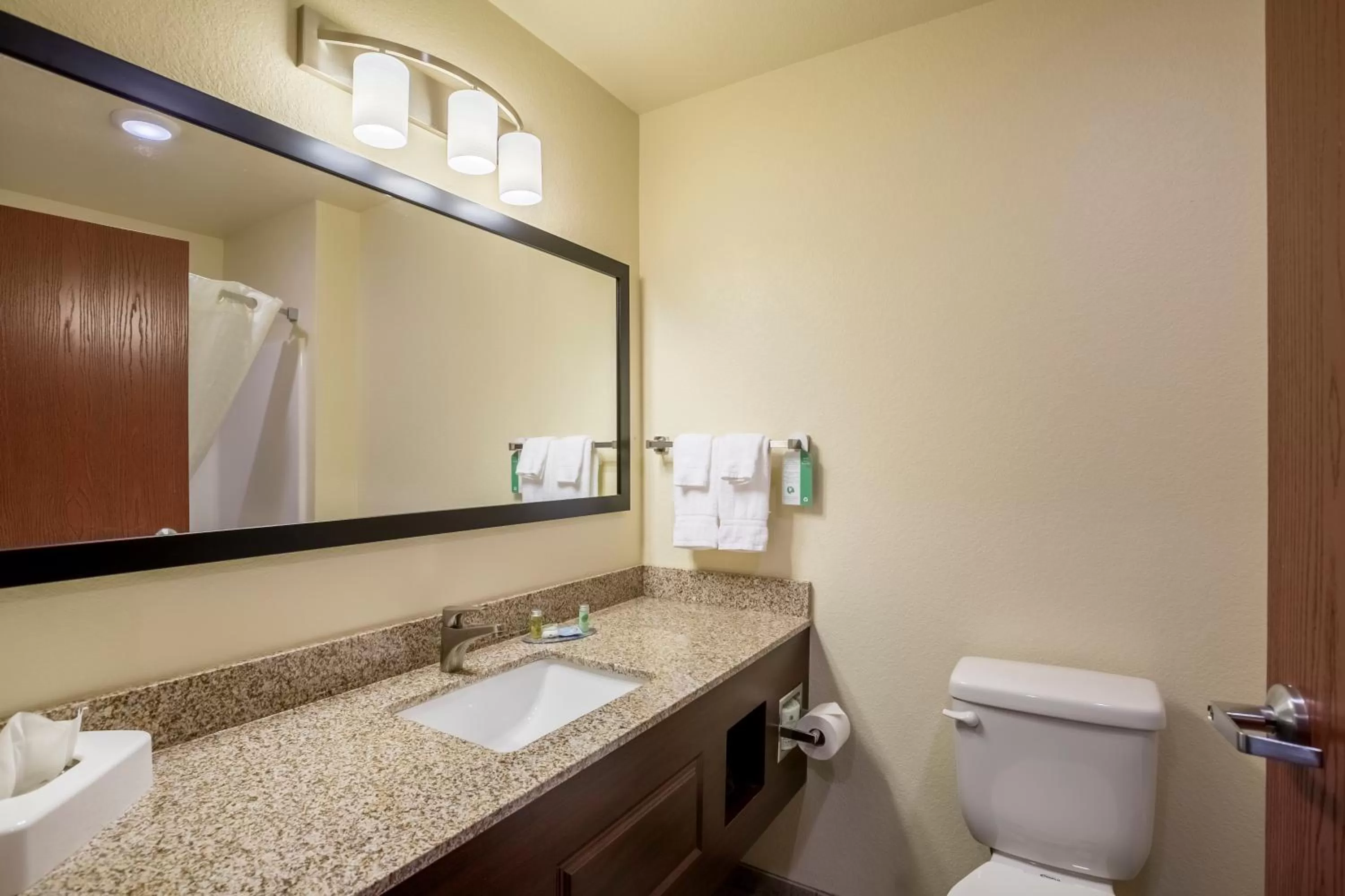 Toilet in Cobblestone Hotel & Suites Hartford