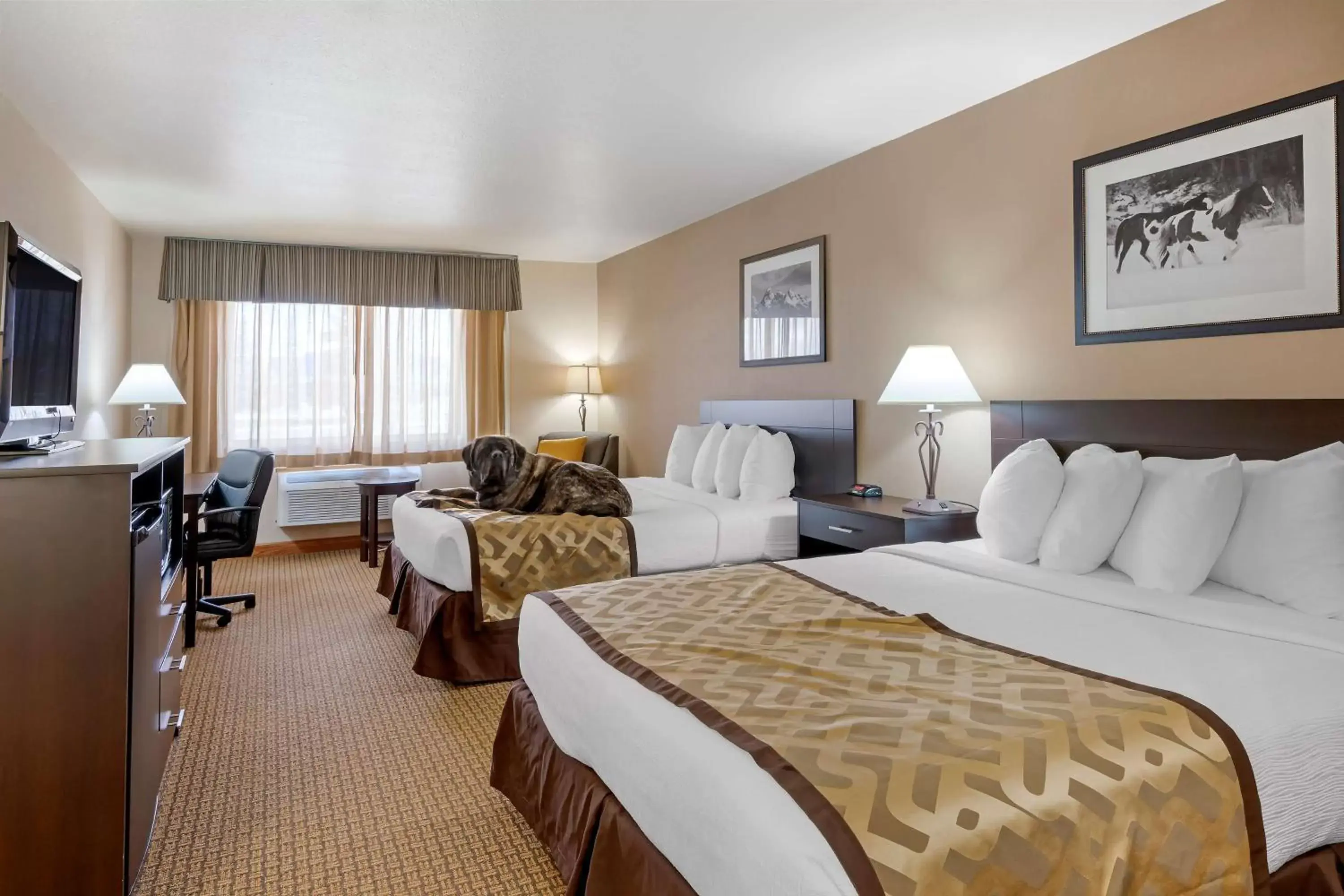 Bedroom in Best Western Pinedale Inn