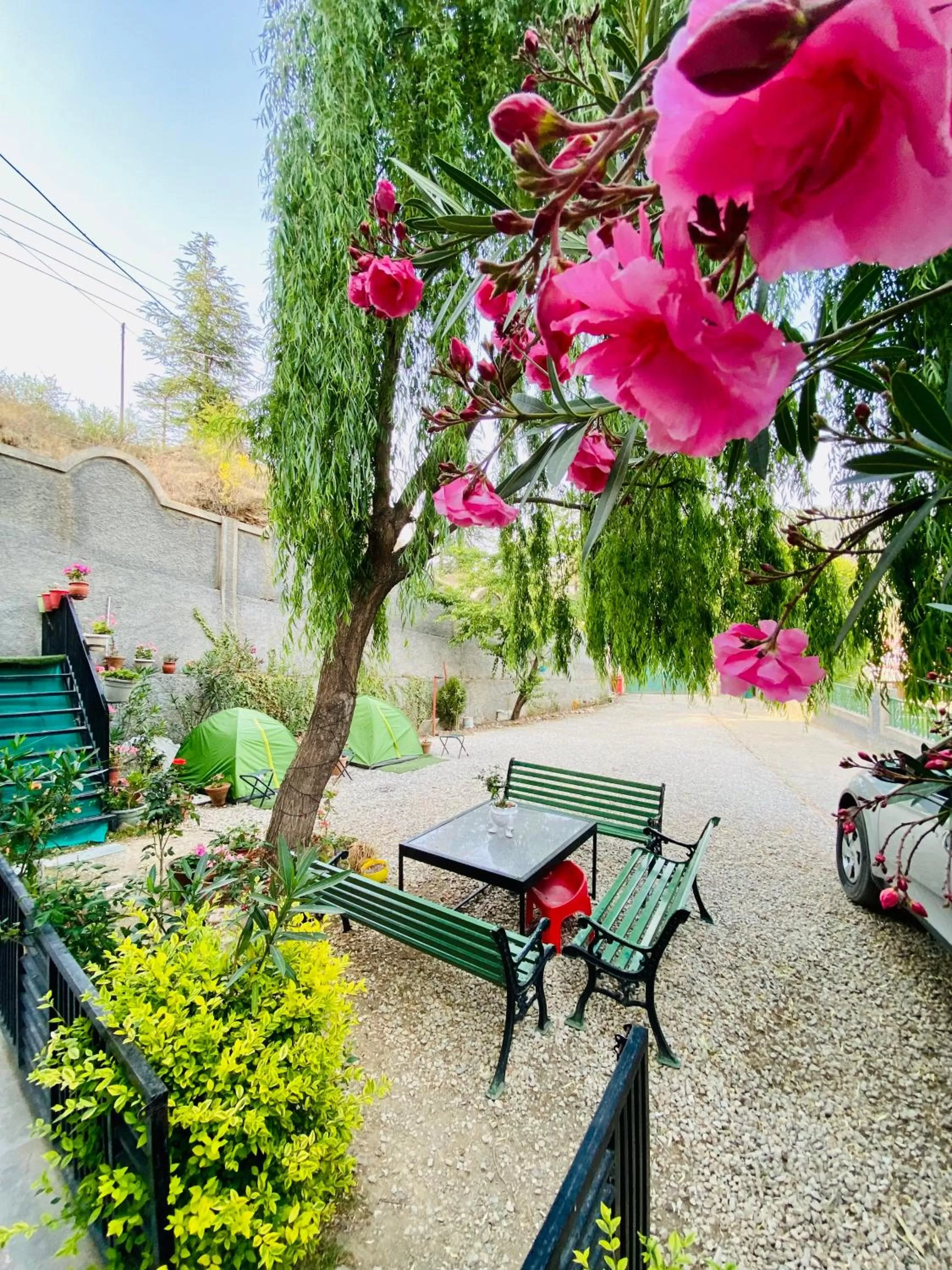 Day in Sai Cottage Shimla