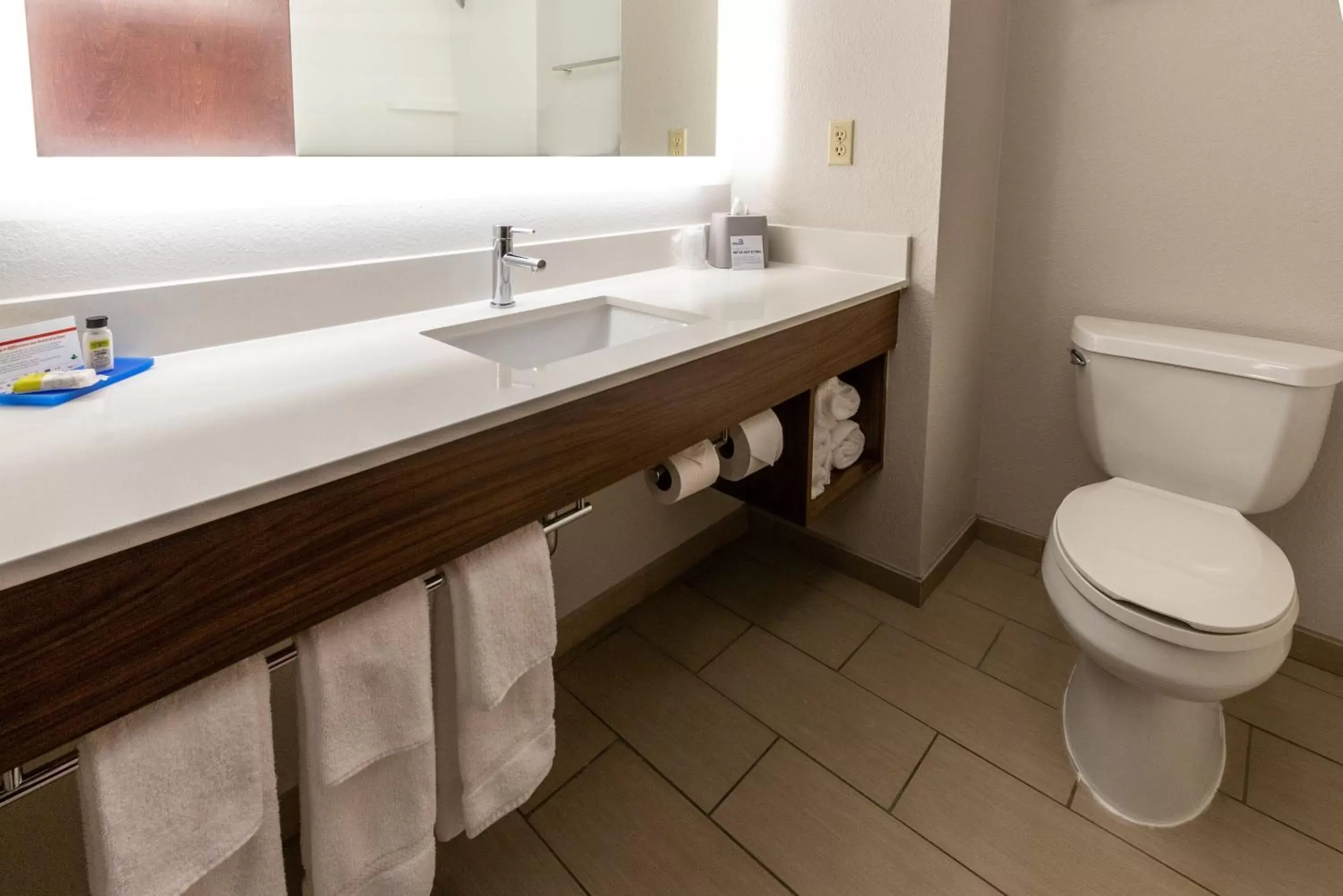 Bathroom in Holiday Inn Express & Suites Tupelo, an IHG Hotel