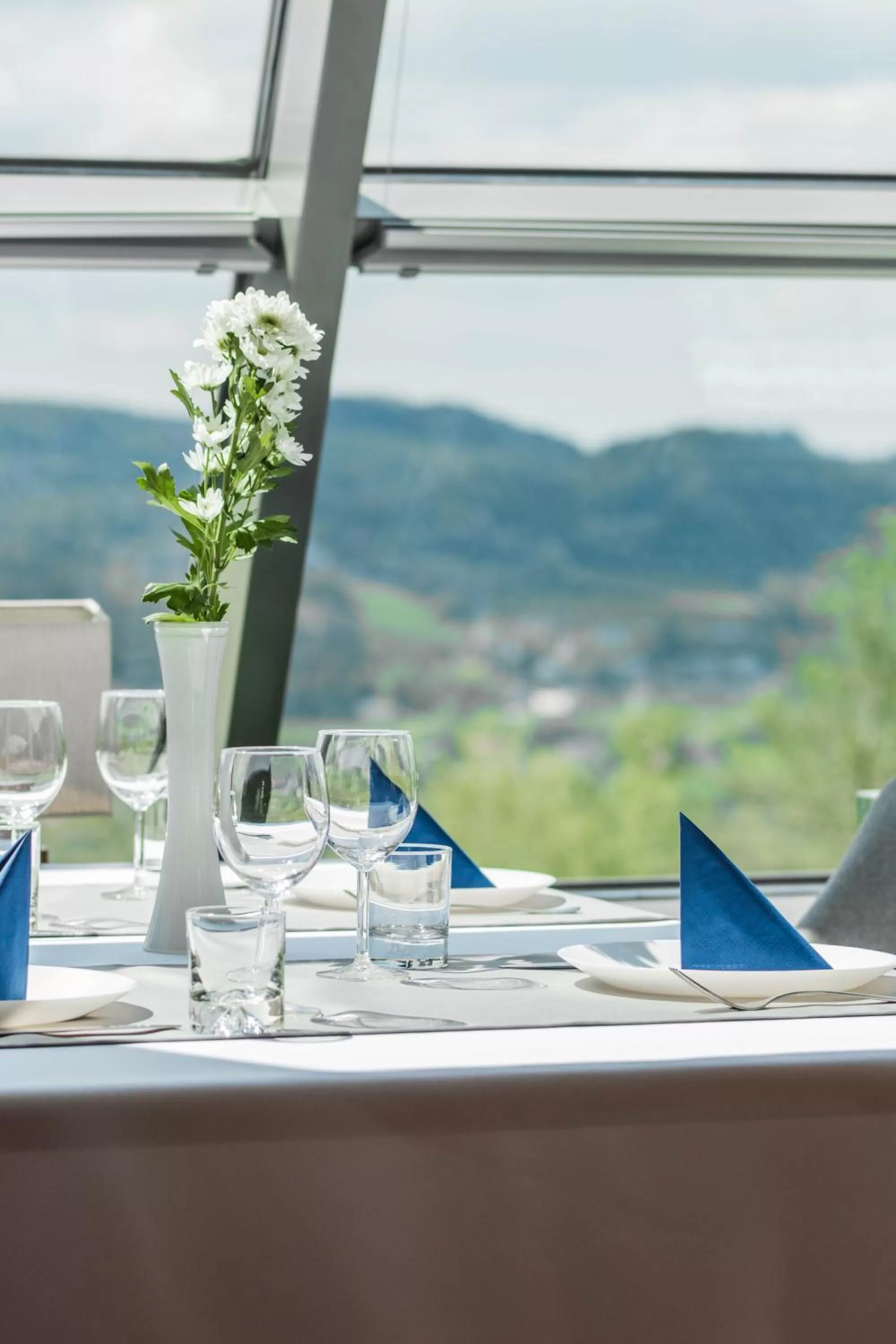 Restaurant/places to eat in Hotel Belweder