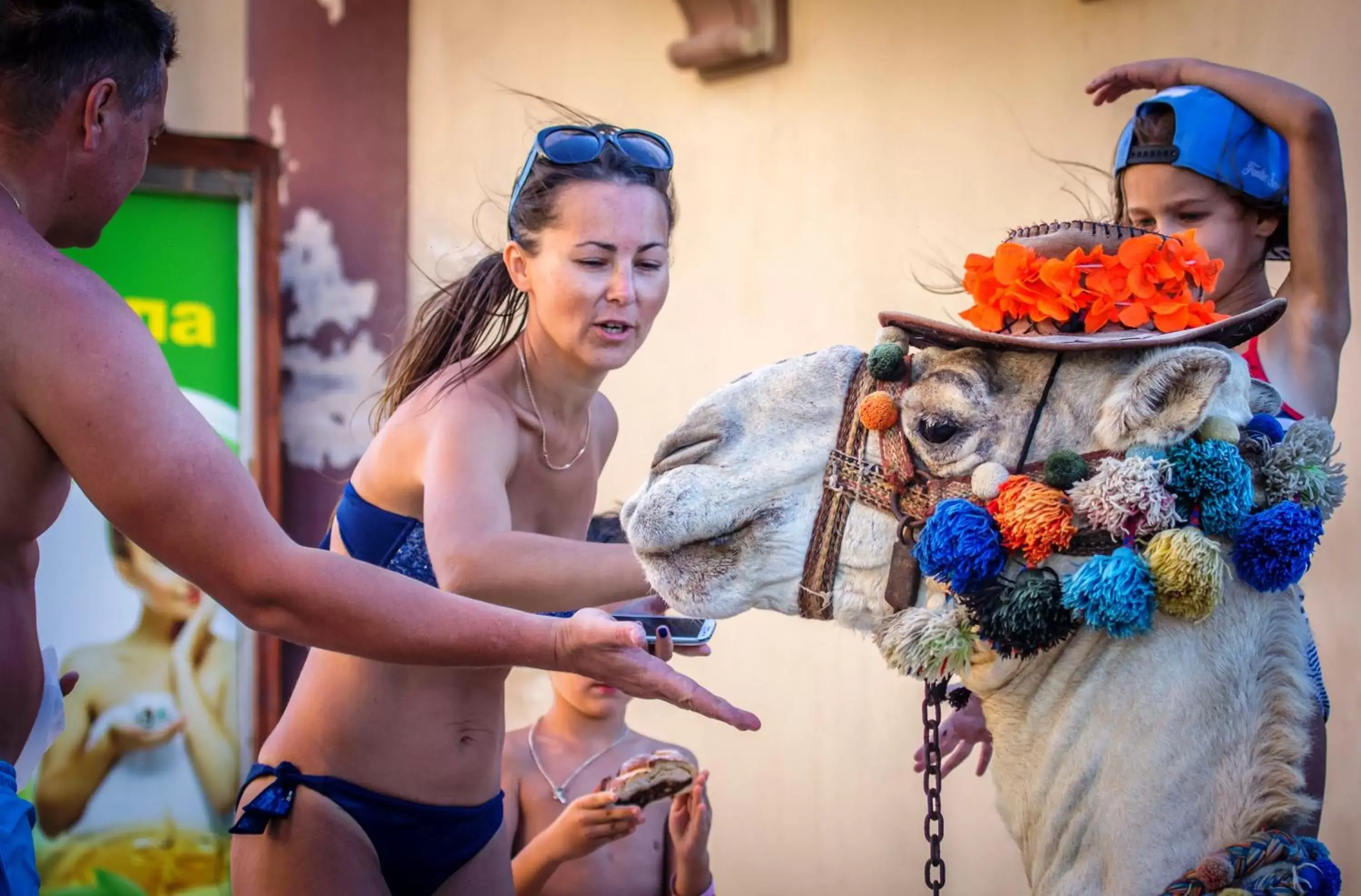 Entertainment in Sunny Days El Palacio Resort & Spa