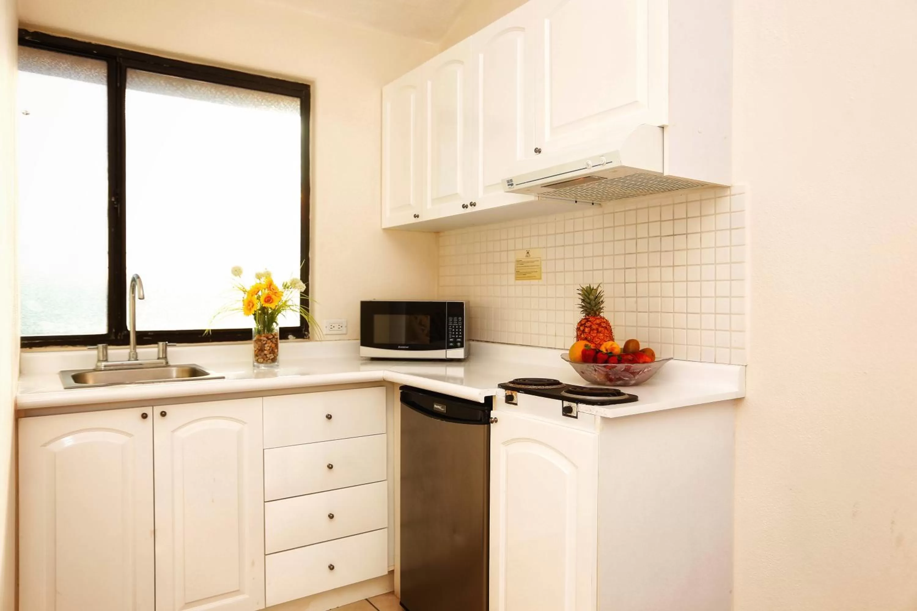 Kitchen or kitchenette in Hotel Santa Fe Los Cabos by Villa Group