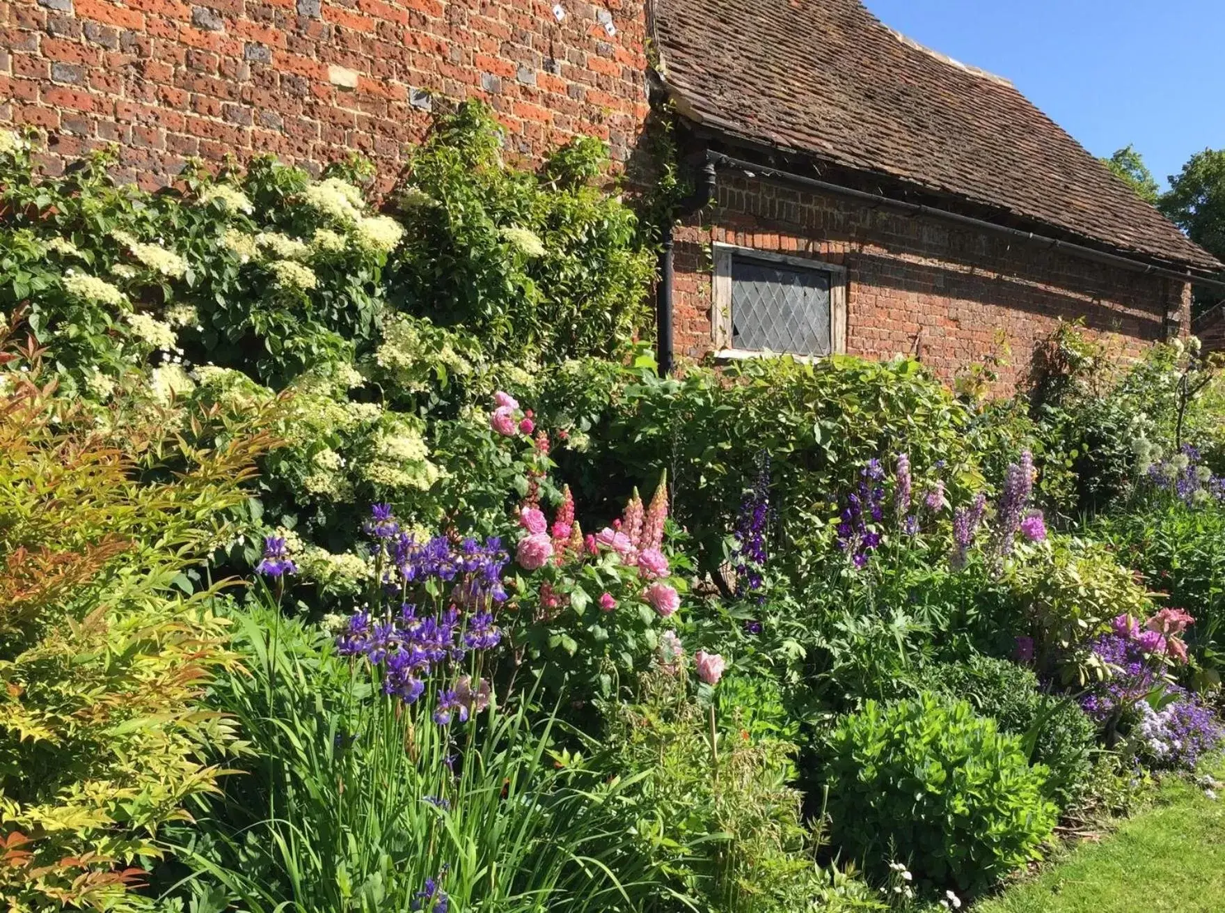 Garden, Property Building in B&B Harlington Manor