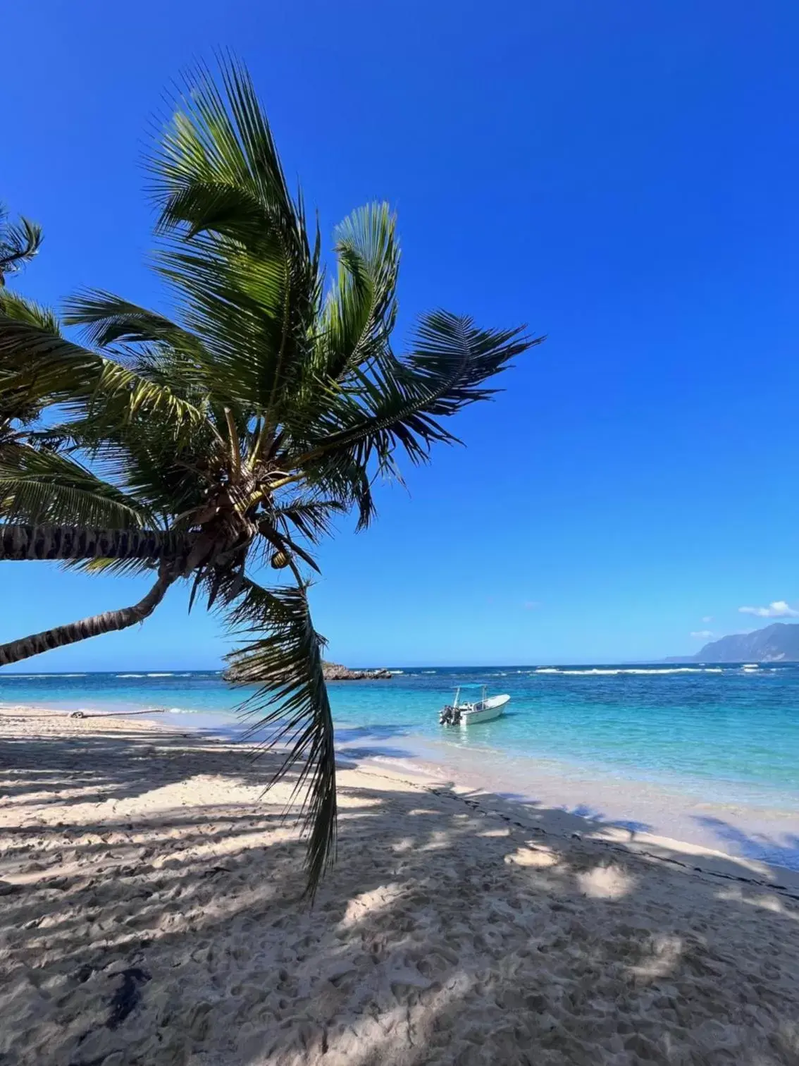 Beach in Hotel La Tortuga