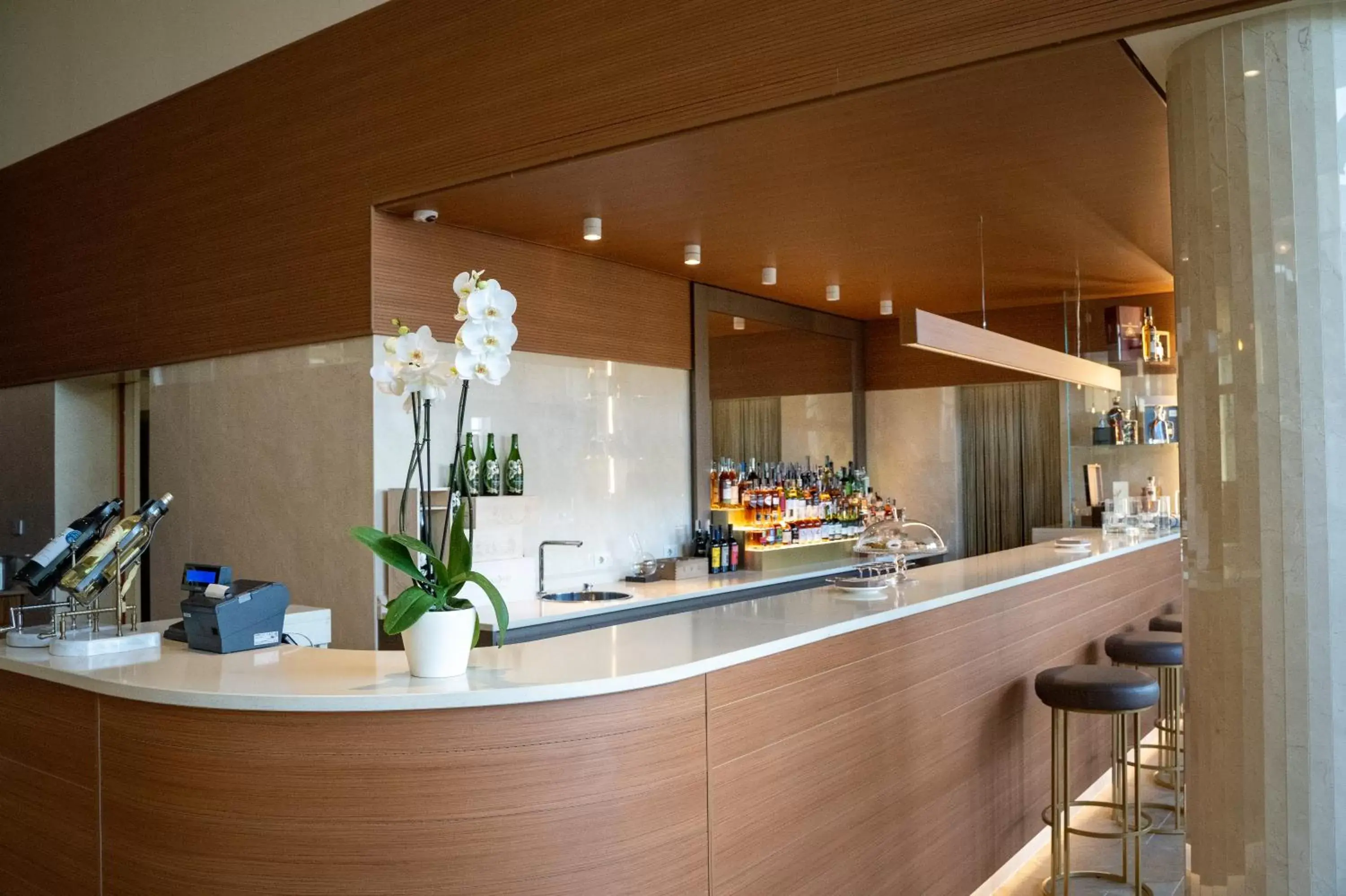 Lounge or bar, Lobby/Reception in UNAHOTELS MH Matera