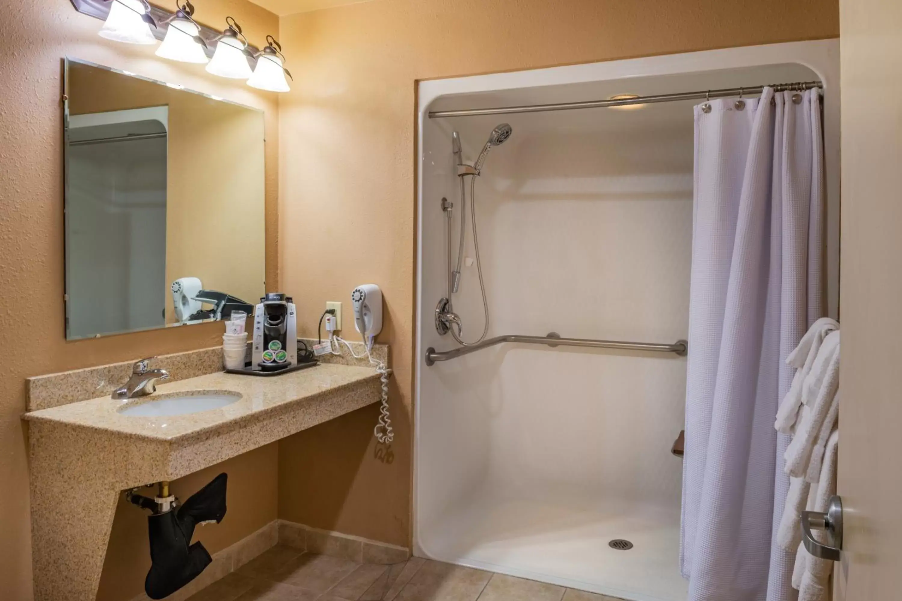 Bathroom in Best Western Vista Inn at the Airport