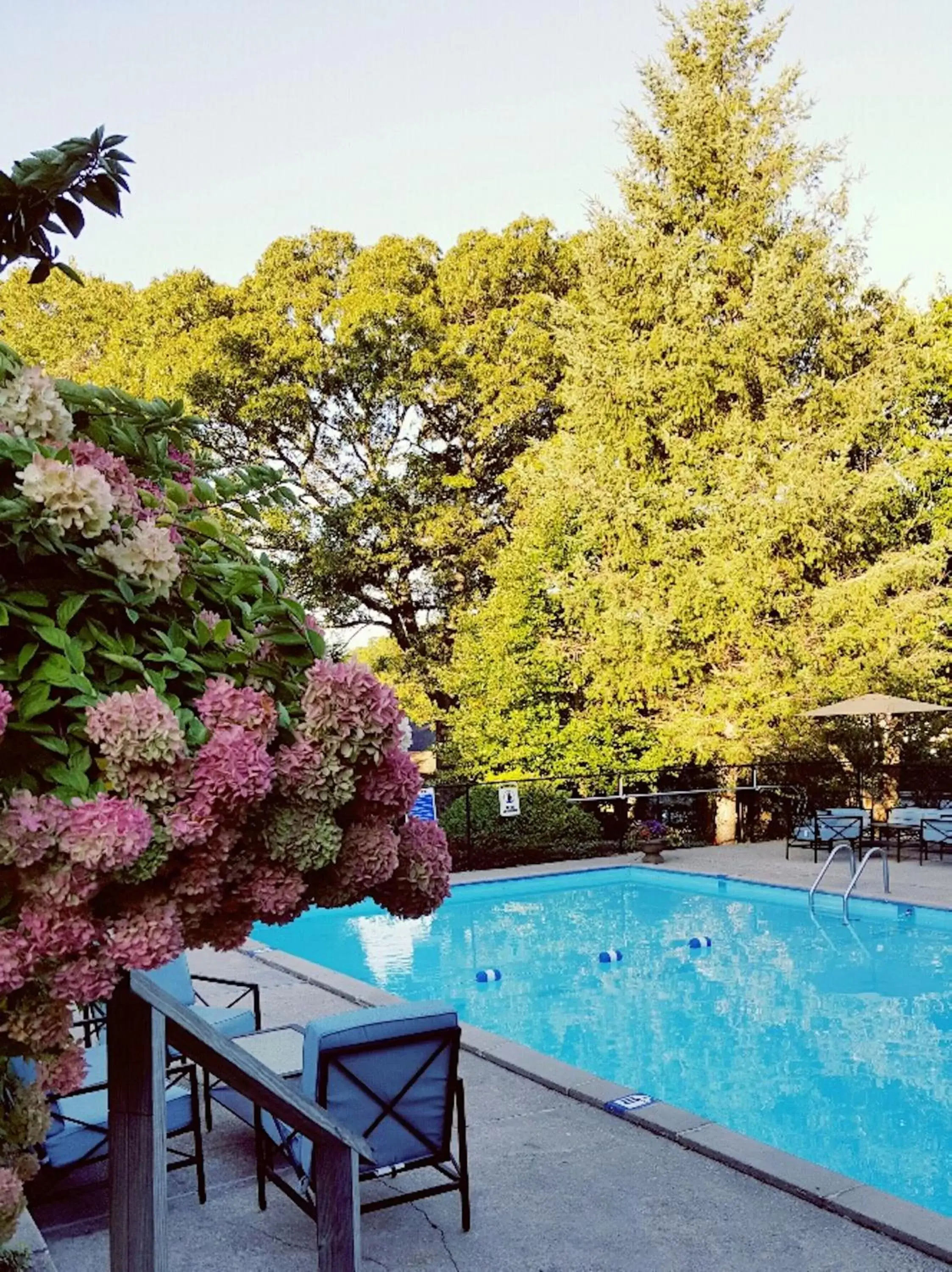 Activities, Swimming Pool in Starlight Lodge Cape Cod