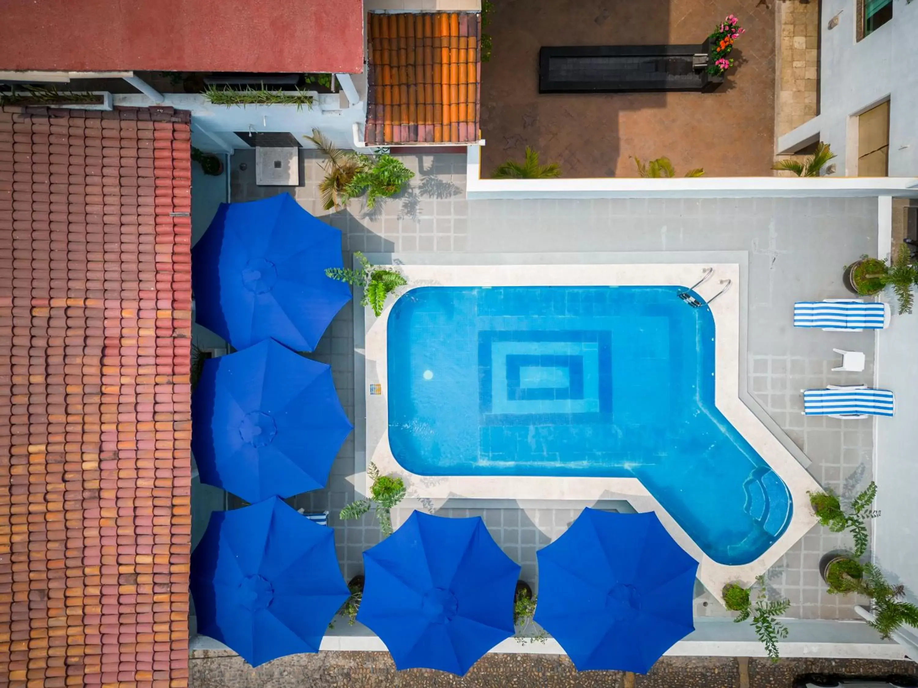 Day, Pool View in Hotel Pueblito Vallarta