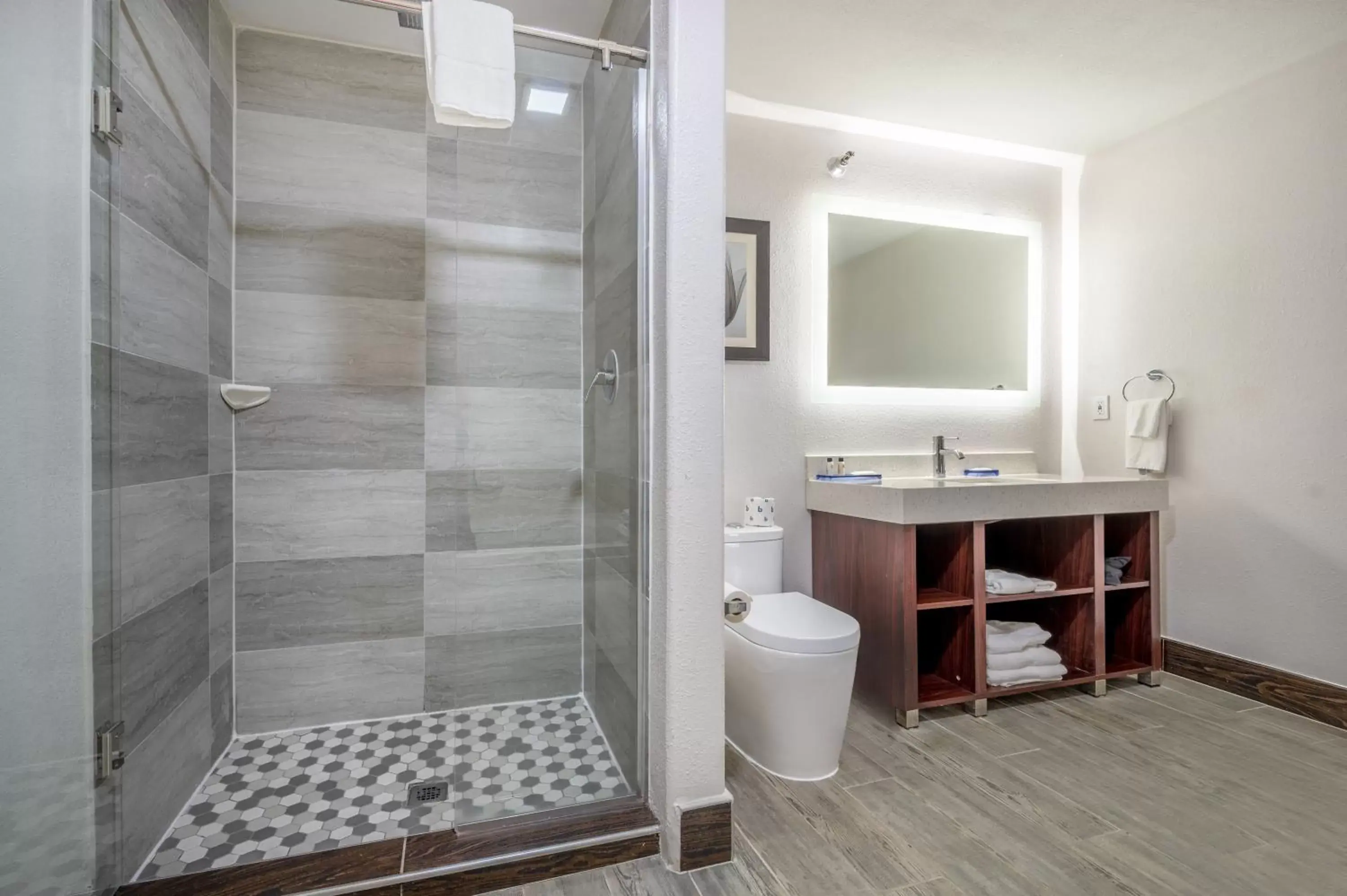 Bathroom in The Leo Collection Detroit, Ascend Hotel Collection