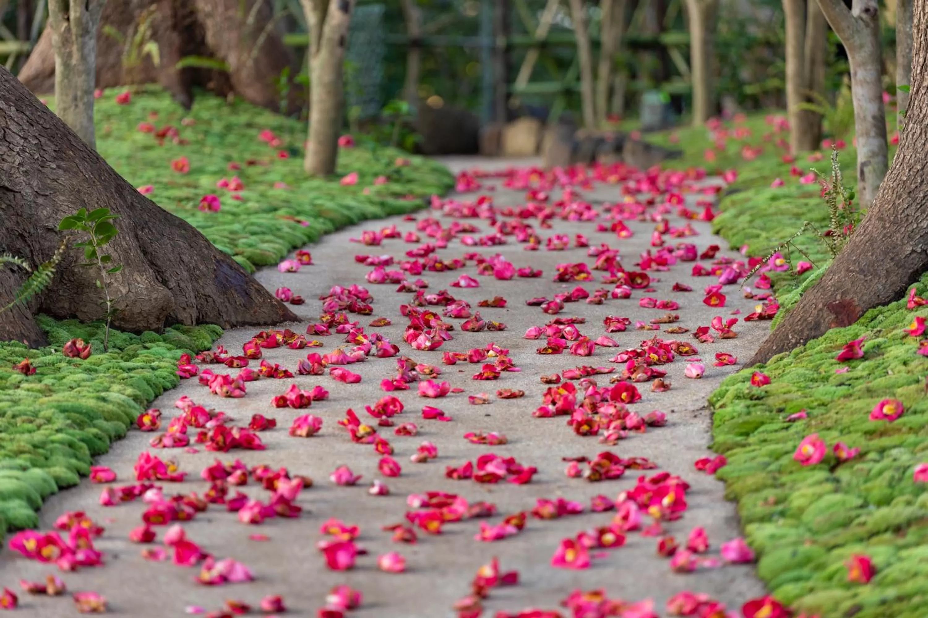 Garden in Hotel Chinzanso Tokyo
