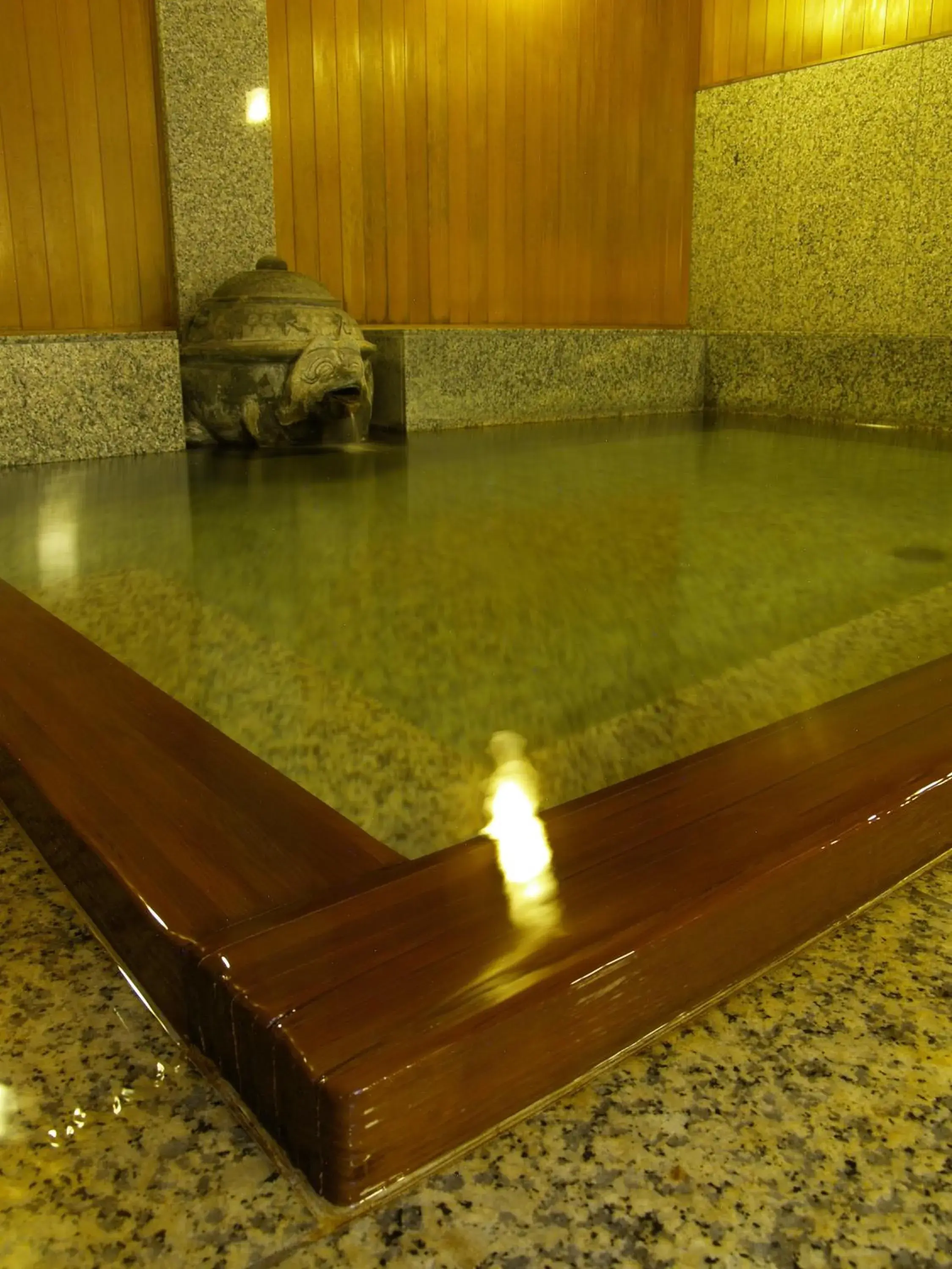 Hot Spring Bath in K's House Ito Onsen - Historical Ryokan Hostel