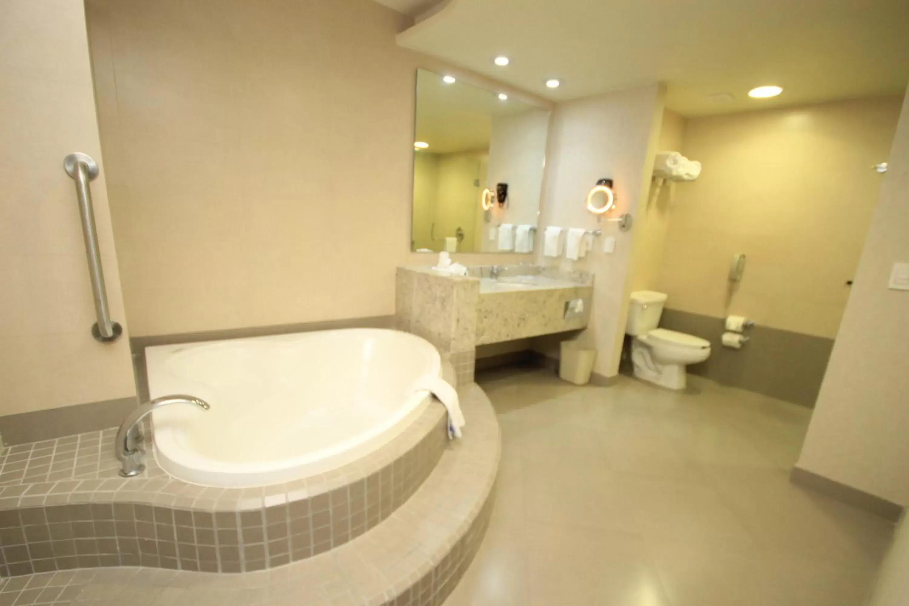 Bathroom in Crowne Plaza Leon, an IHG Hotel