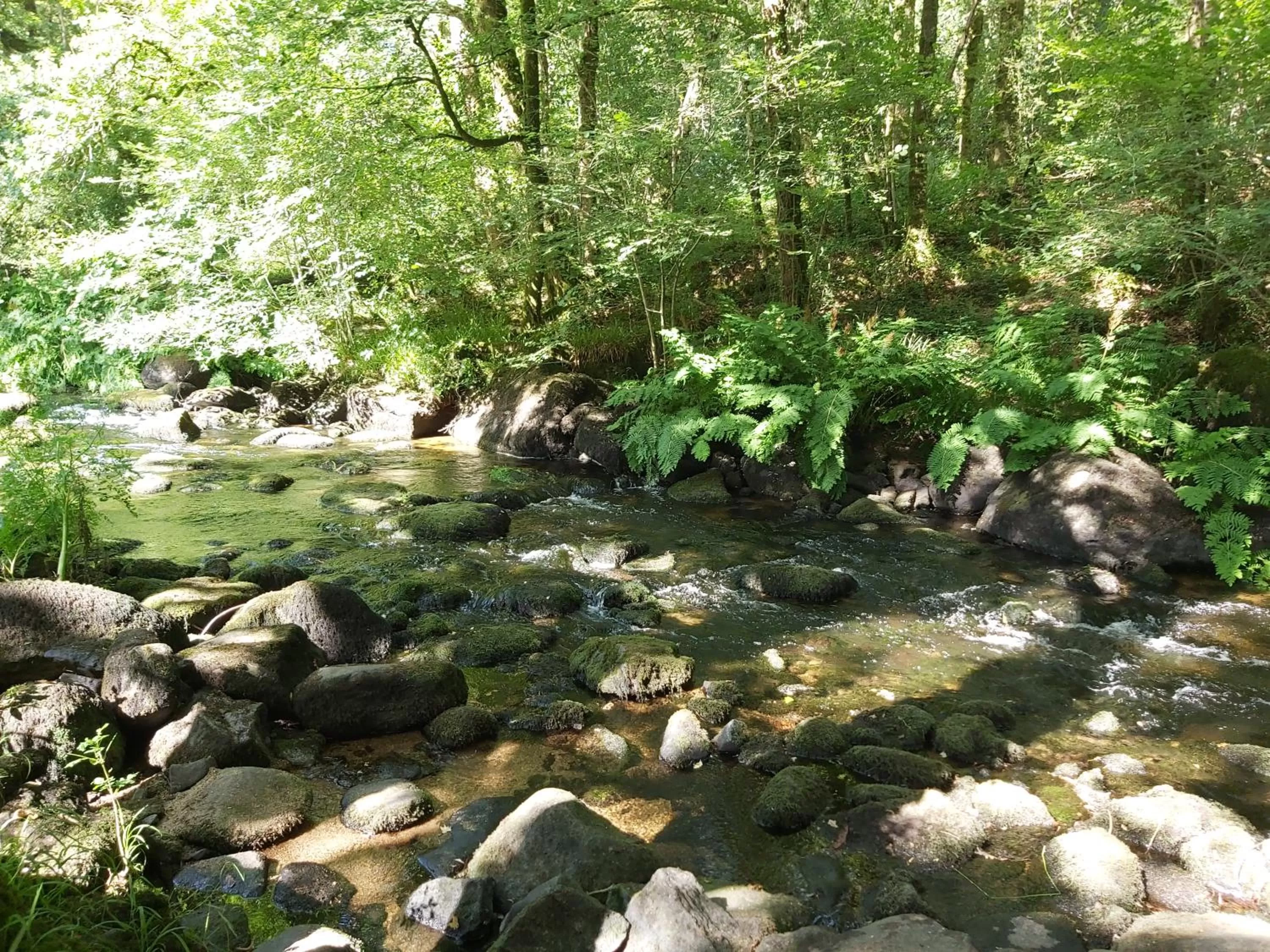Nearby landmark in LES DEUX RIVIERES - Chambres & Table d'Hôtes -