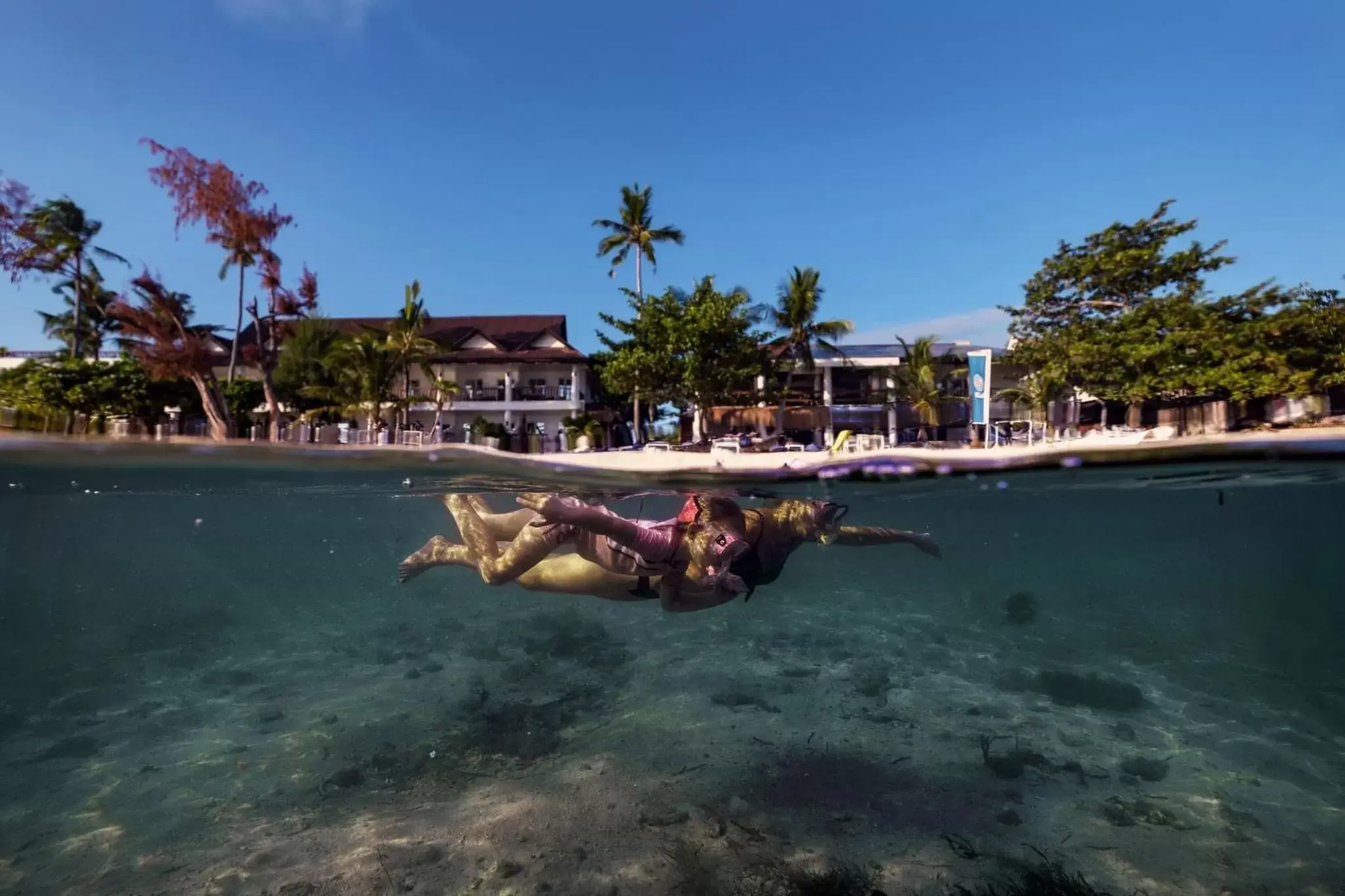 Snorkeling in Ocean Vida Beach and Dive Resort