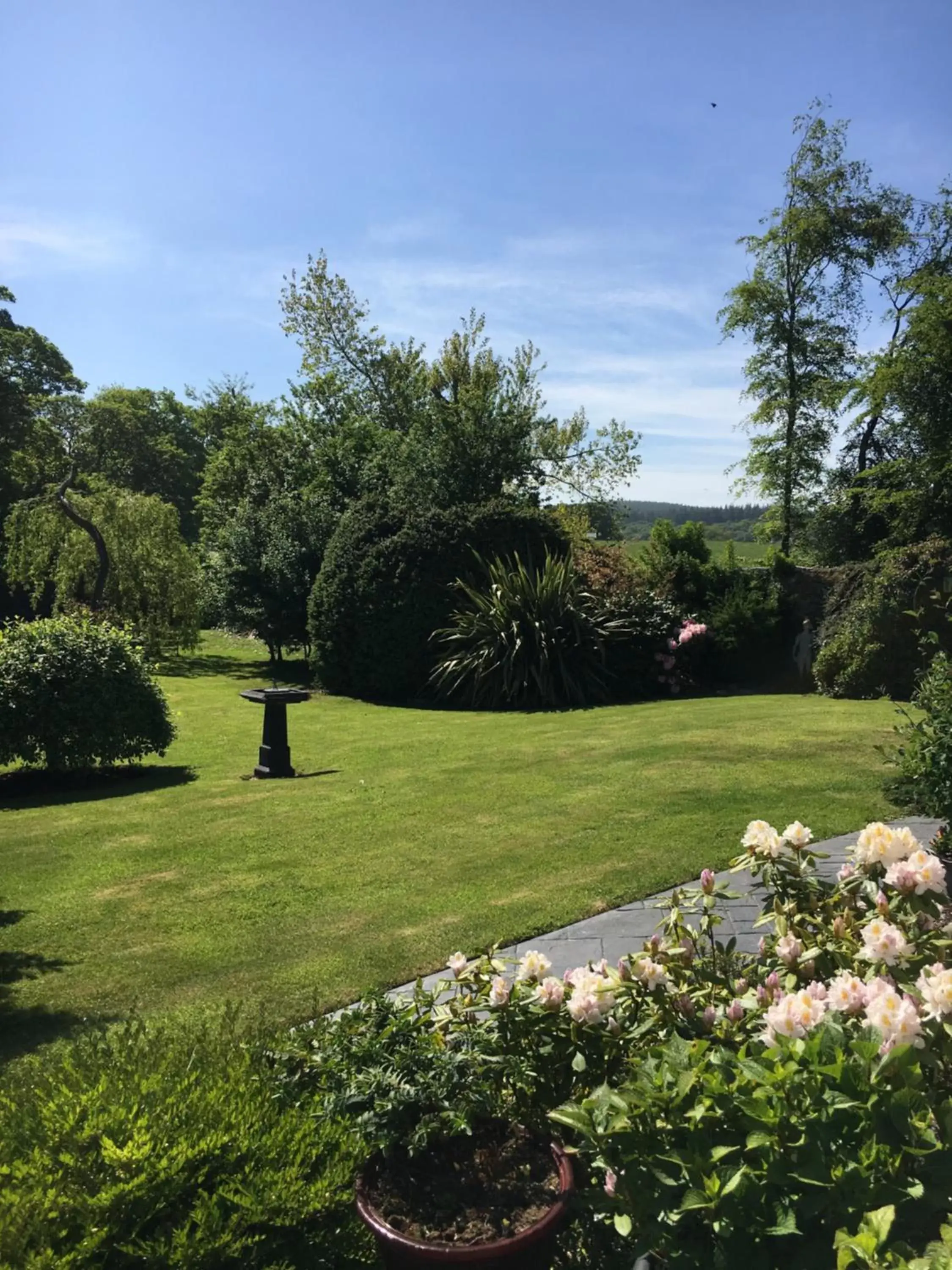 Garden in Old Mills Garden