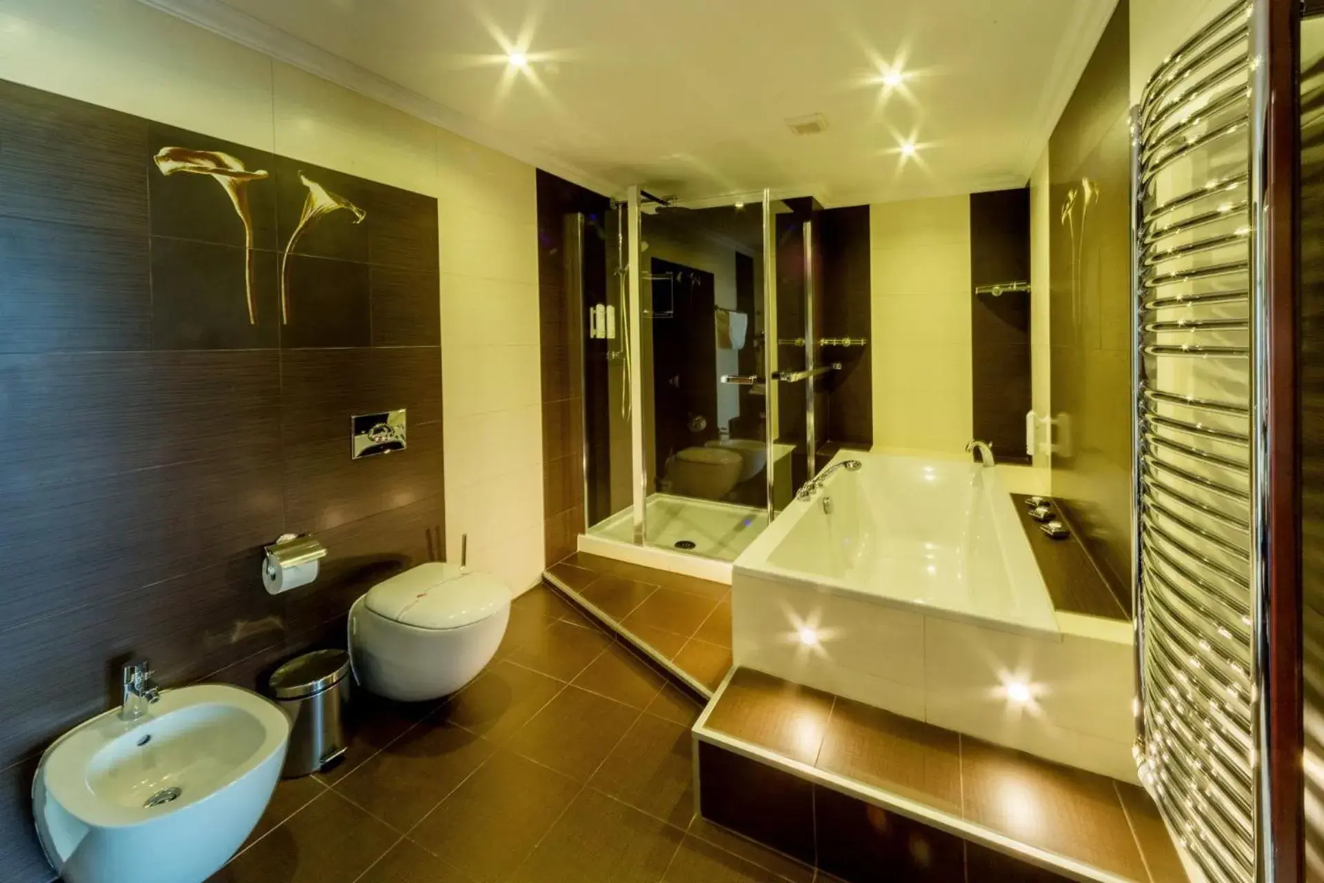 Toilet, Bathroom in Hotel Lidia Spa & Wellness