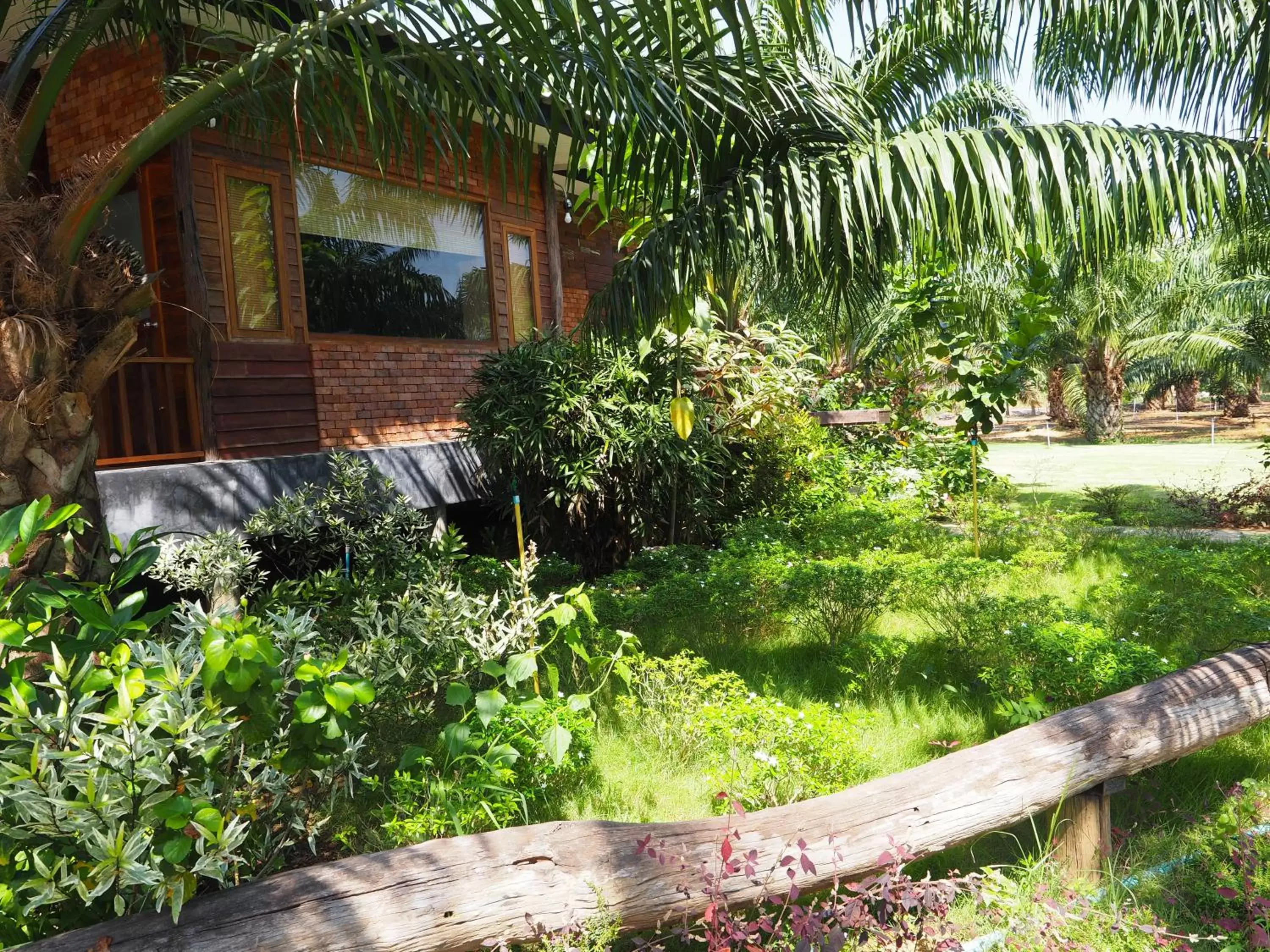 Garden view, Garden in Palm Pran Resort