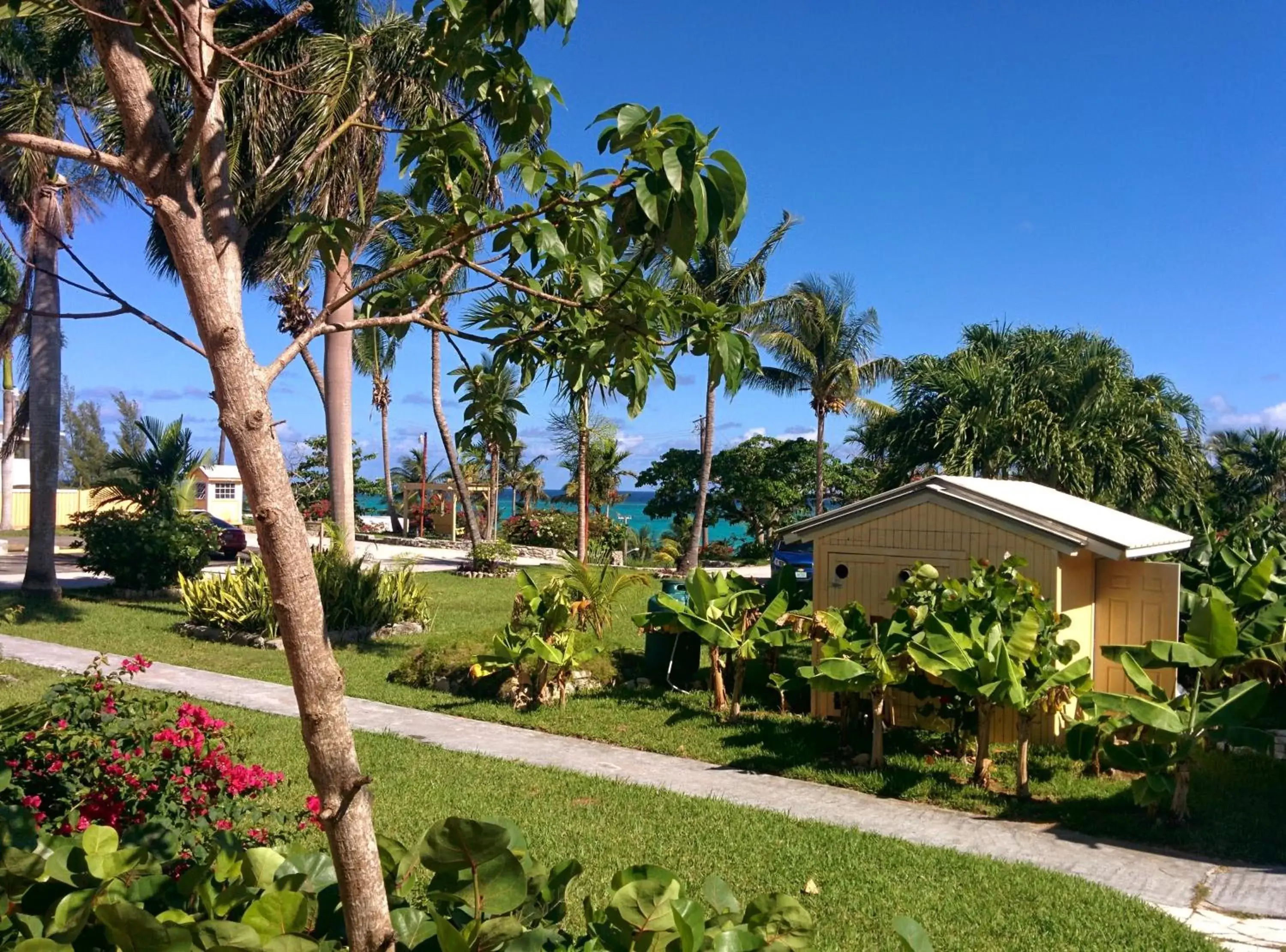 Garden view, Property Building in Orange Hill Beach Inn