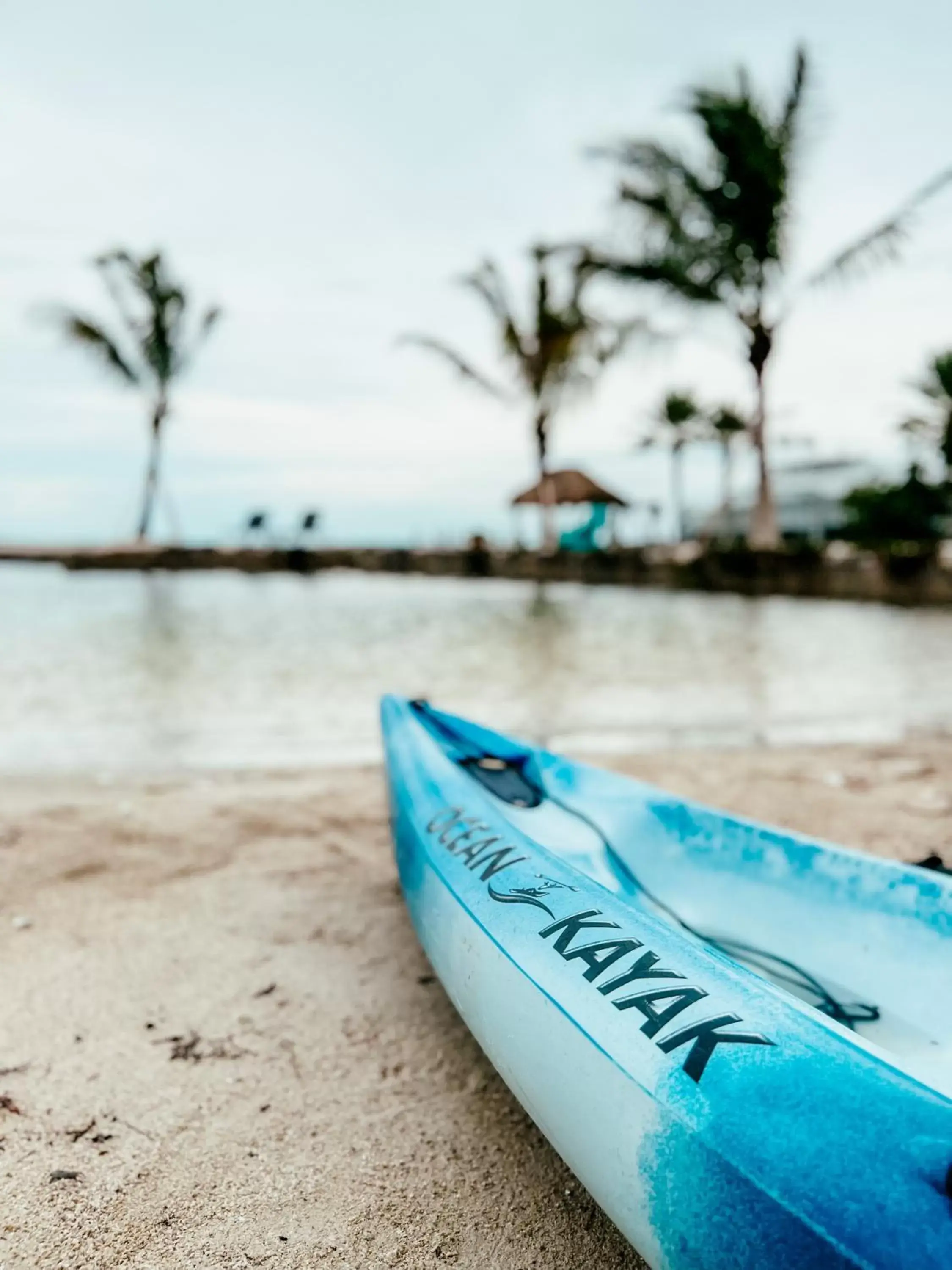 Activities, Beach in Bayside Inn Key Largo