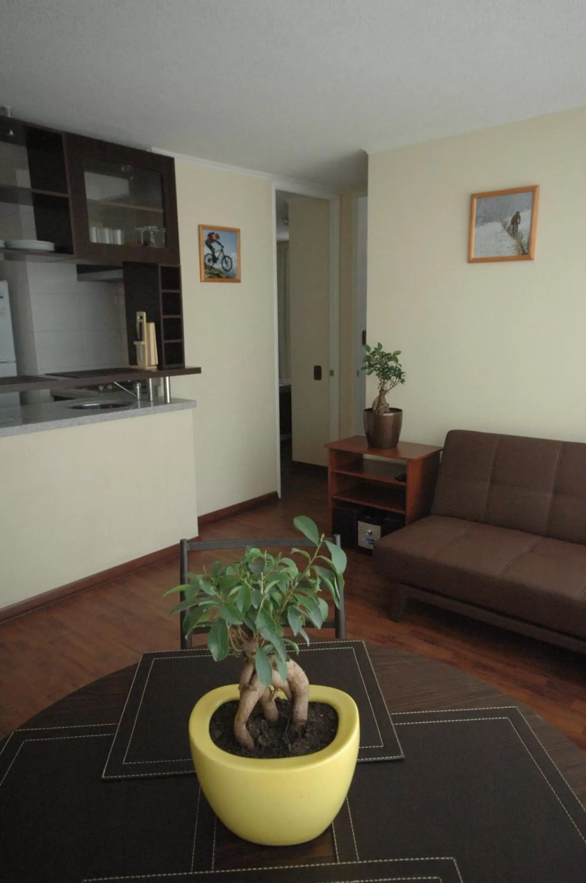 Living room, Seating Area in Personal Aparts Bellas Artes