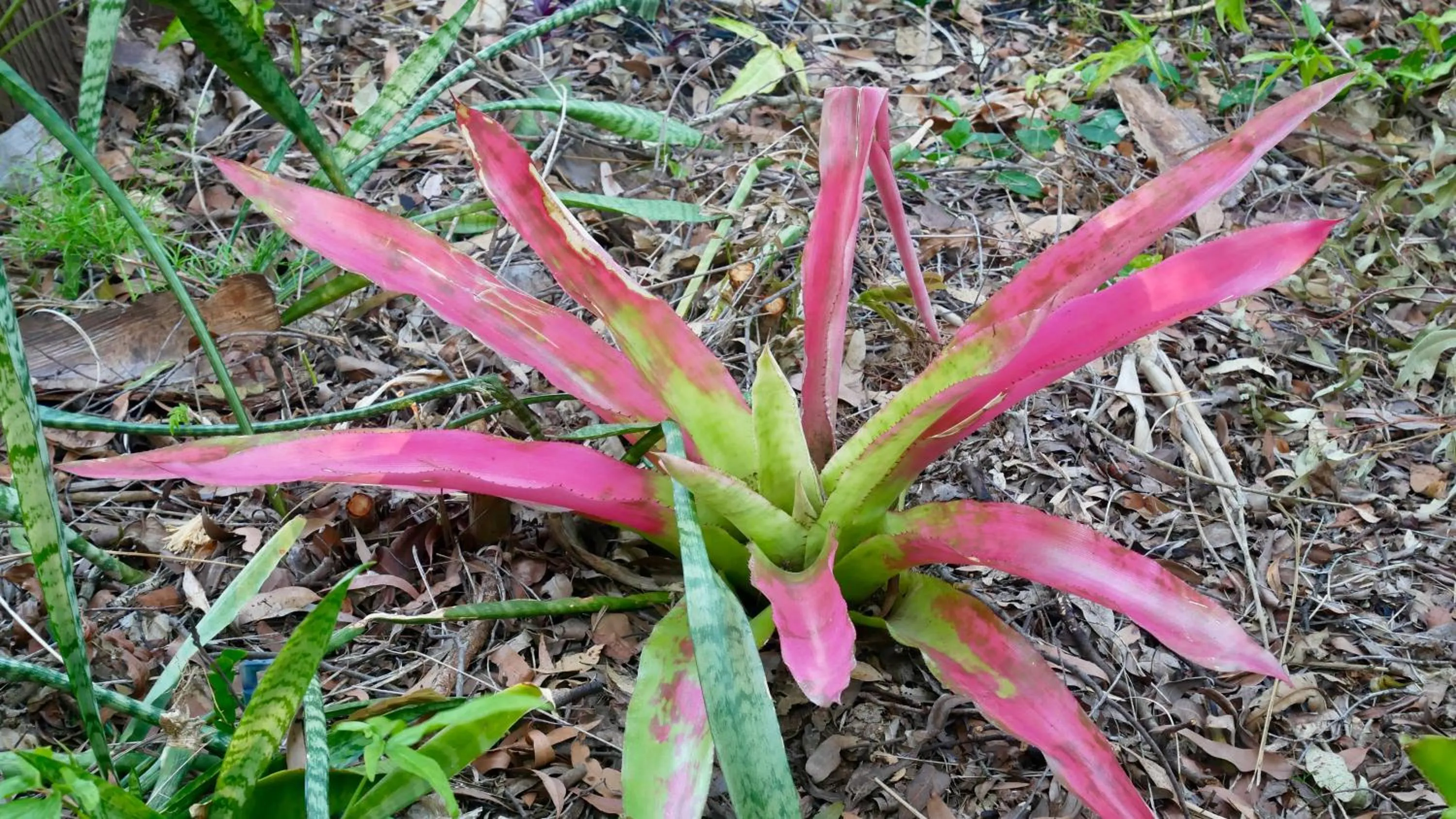 Emeraldene Inn & Eco-Lodge