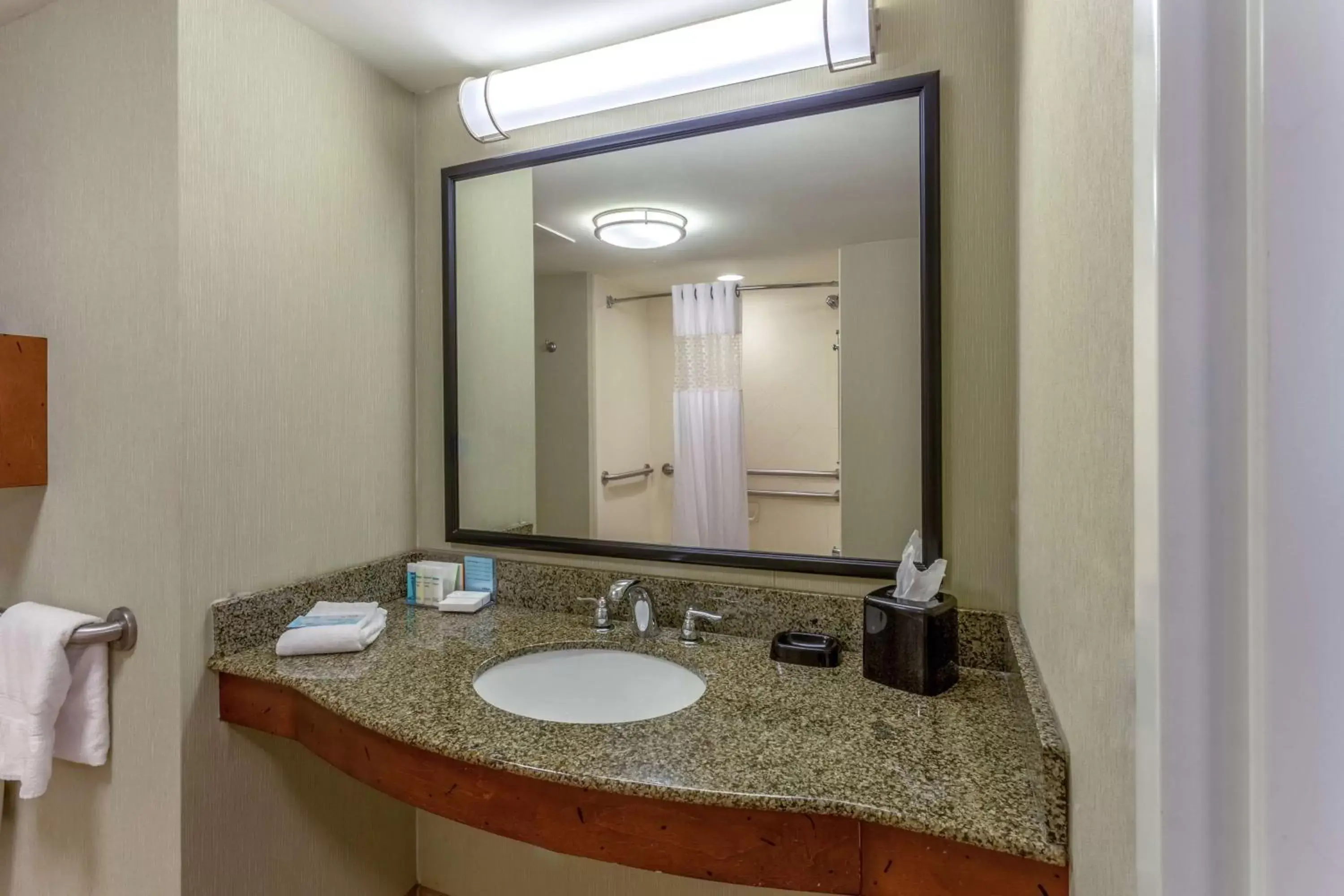 Bathroom in Hampton Inn Okeechobee - Lake Okeechobee