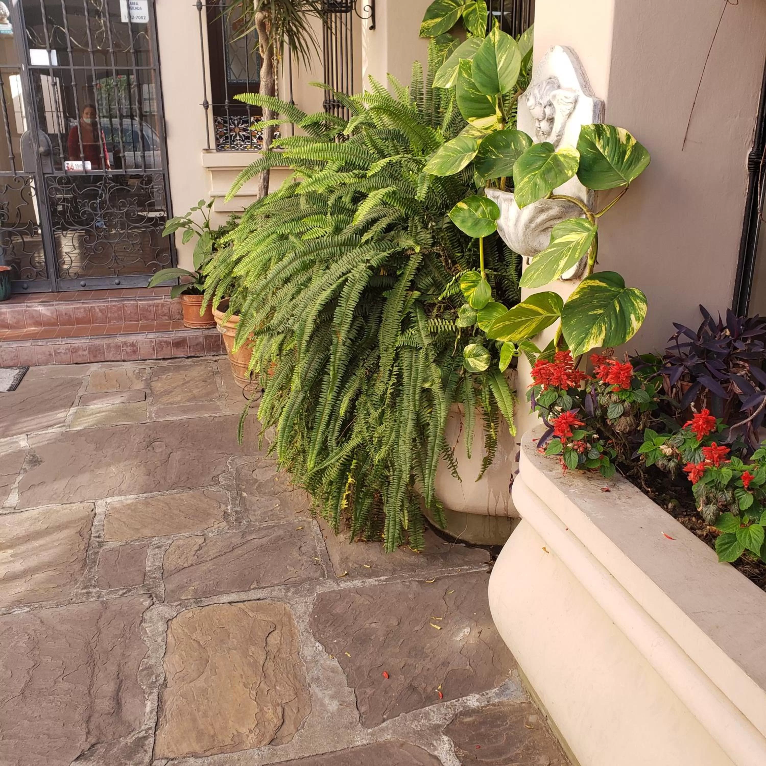 Posta del Ángel - Salta