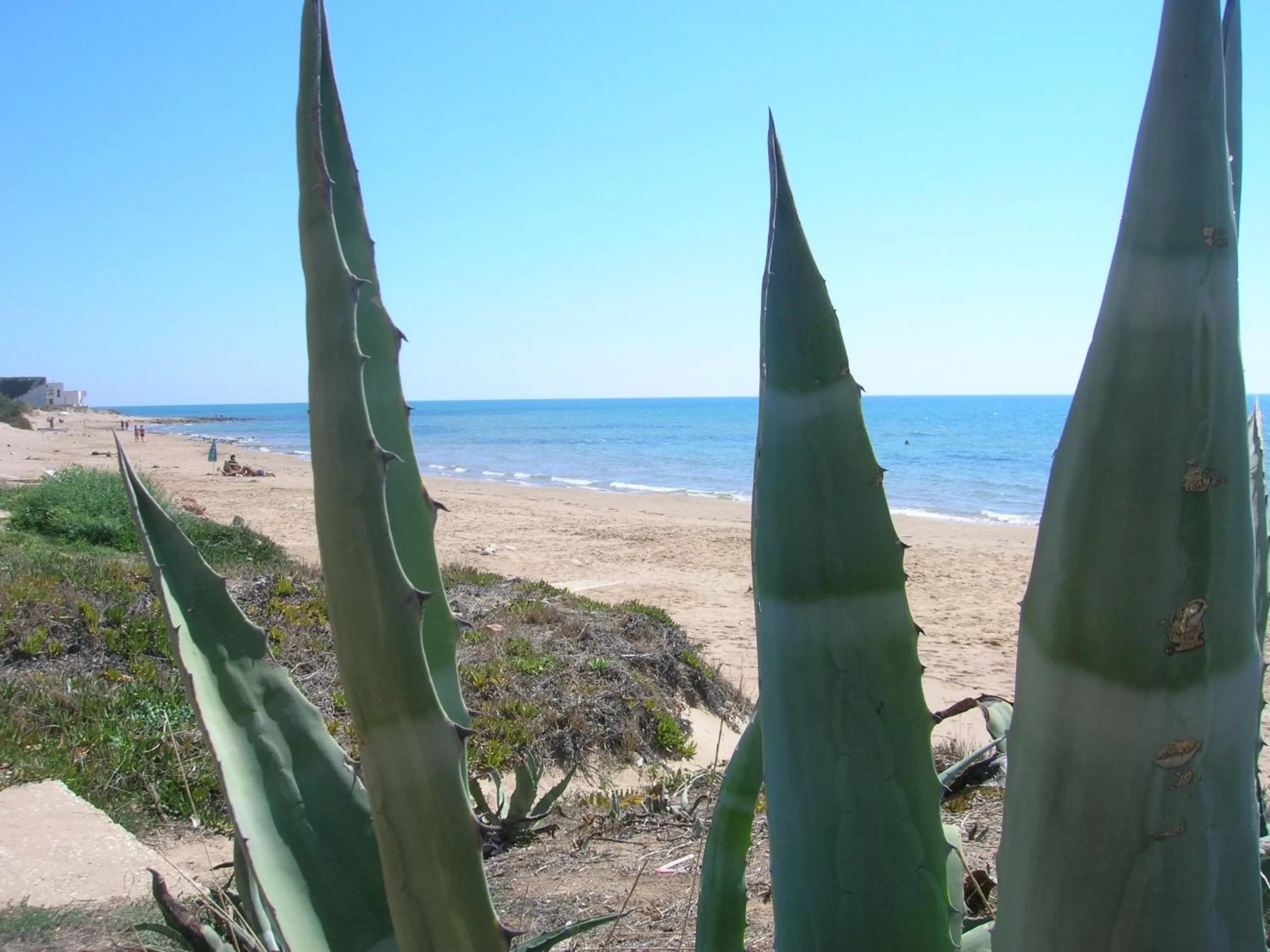Snorkeling in Casa Vacanze Sogno Siciliano