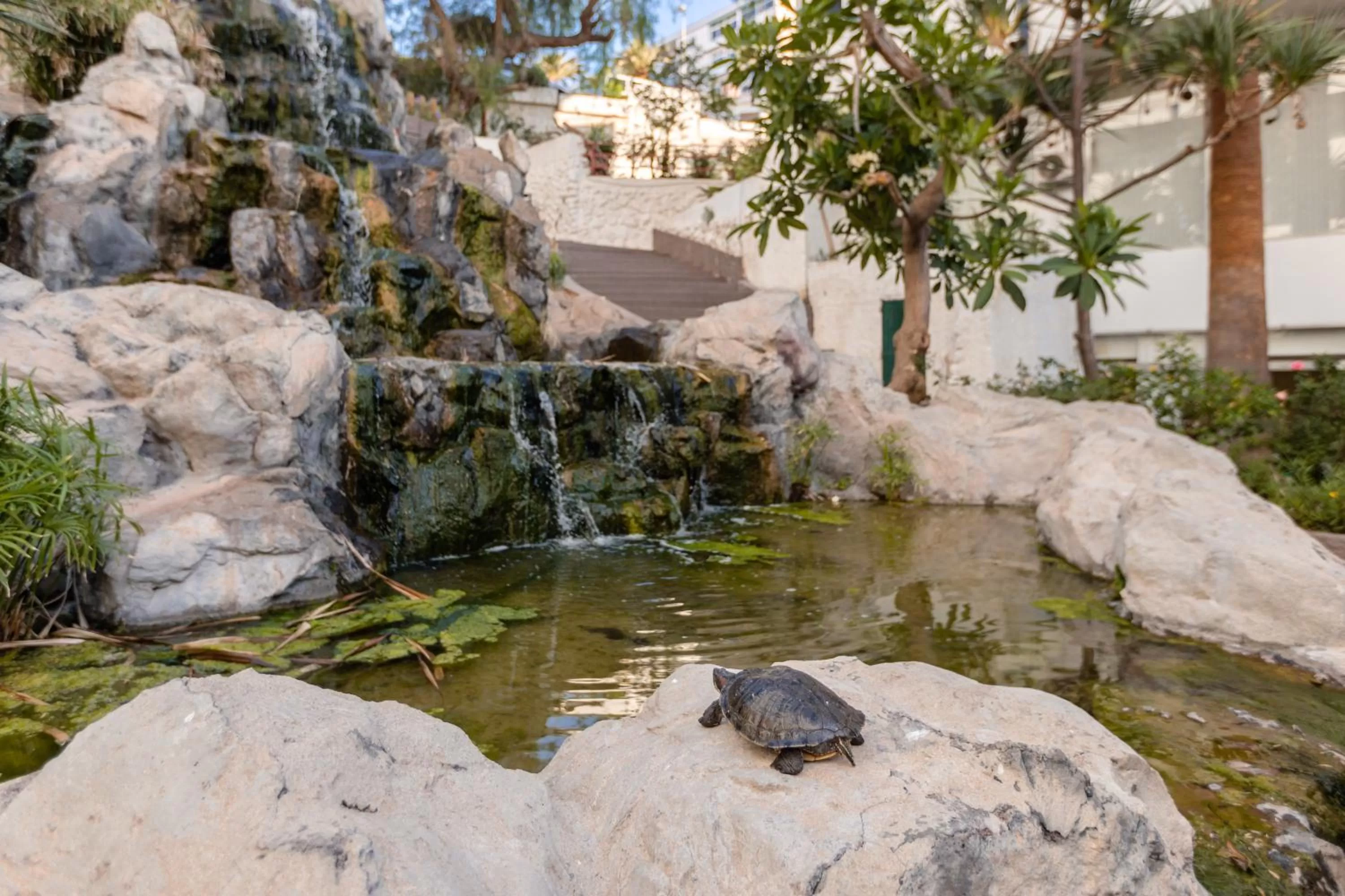 Garden in Catalonia Punta del Rey