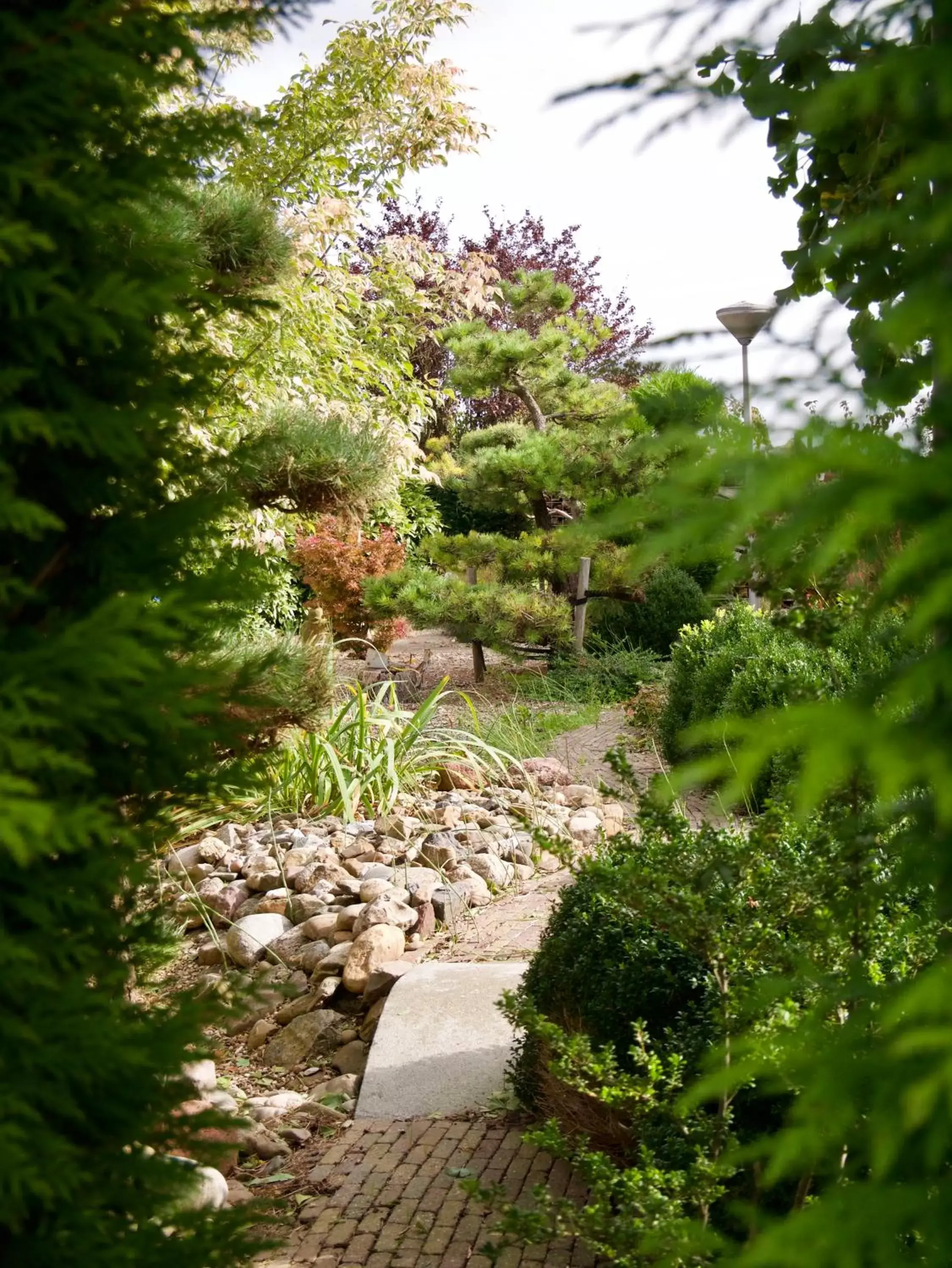 Garden view in B&B “Te Warskip bij BlokVis”