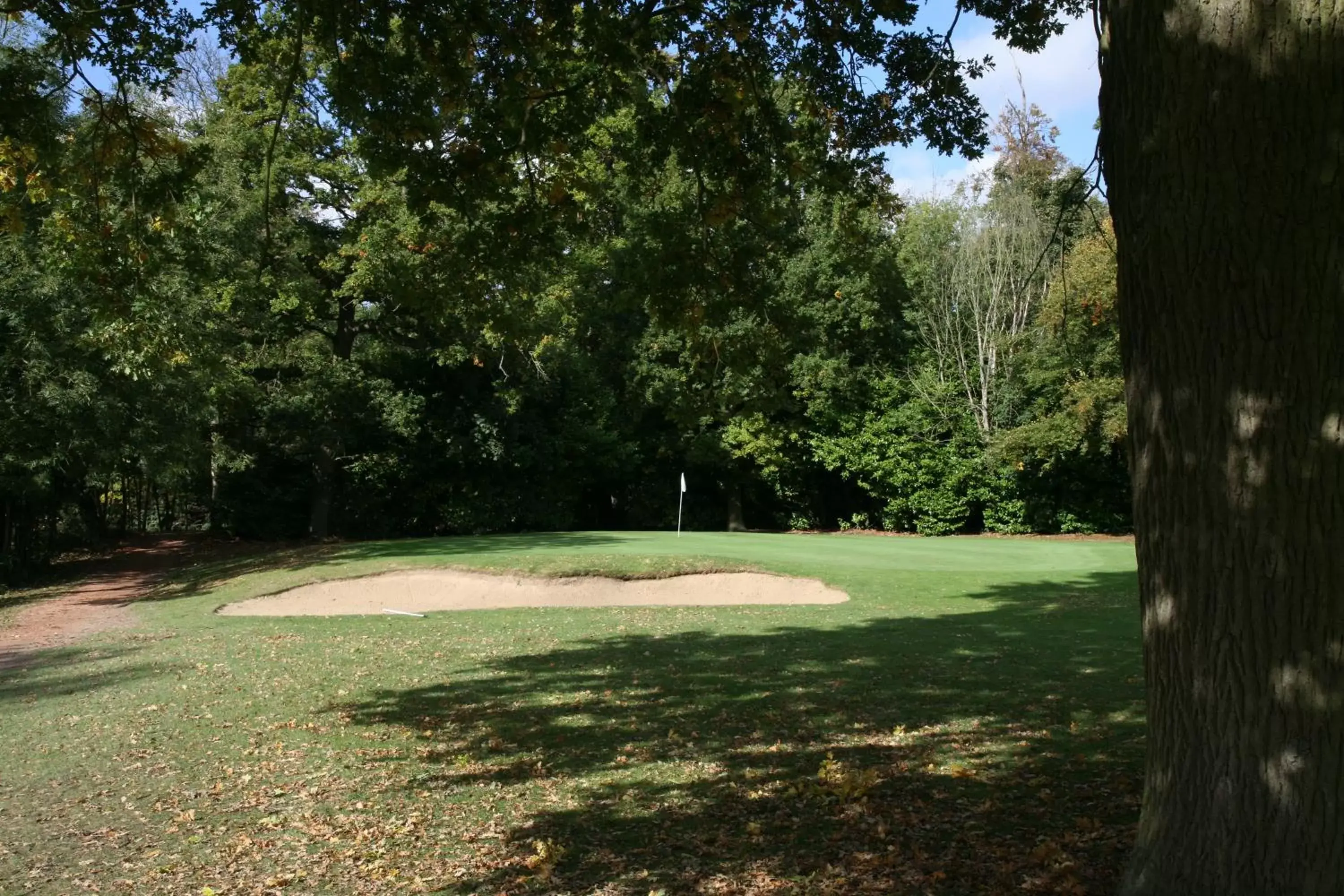Golfcourse, Garden in Manor Of Groves Hotel