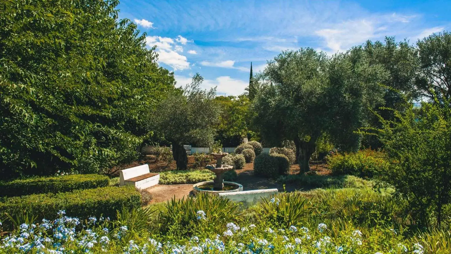 Garden in Hotel Boutique Molino del Arco