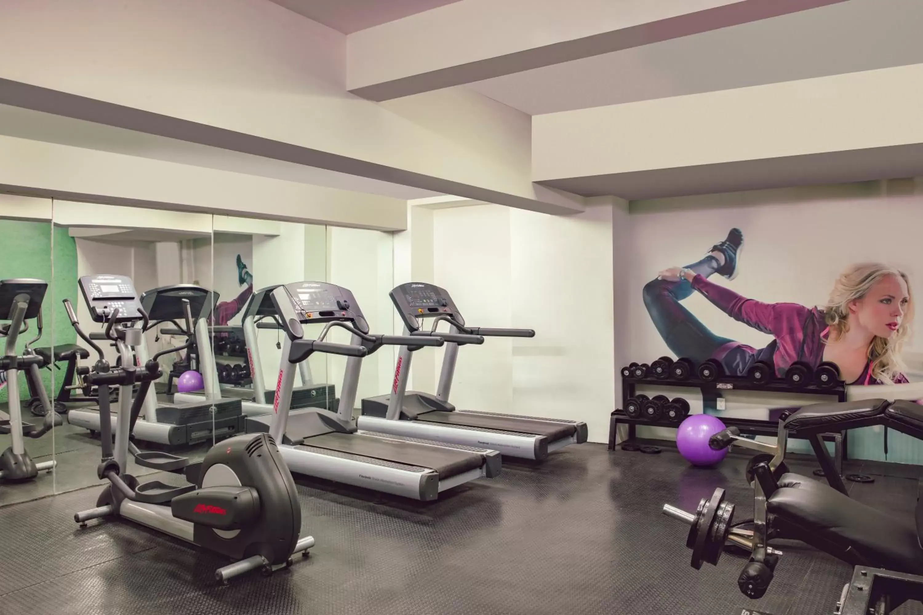 Fitness centre/facilities, Fitness Center/Facilities in Gamma Guadalajara Centro Historico