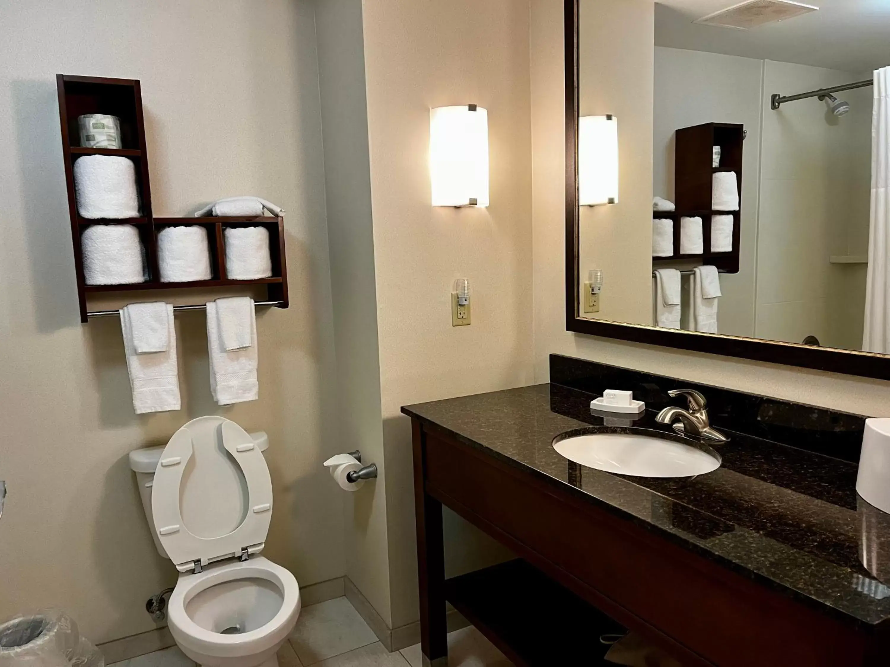 Bathroom in Hampton Inn Columbus/South-Fort Benning