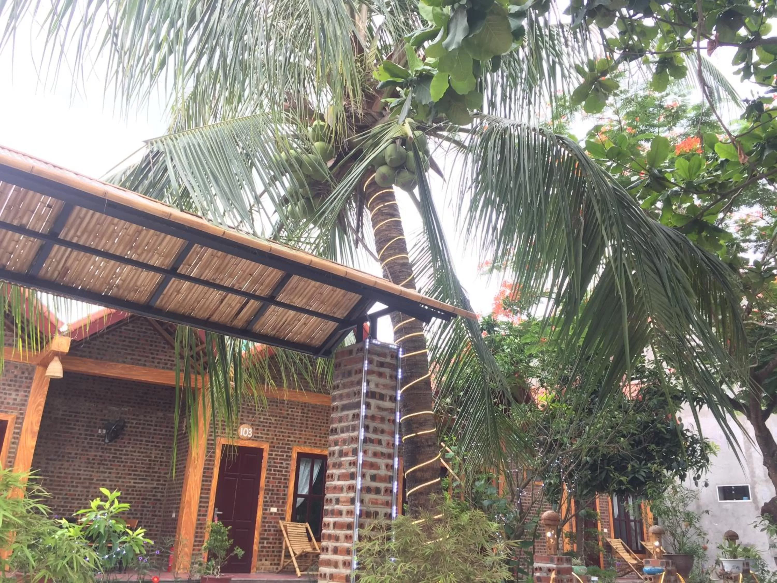 Property building in Tam Coc Vinh Thinh Homestay