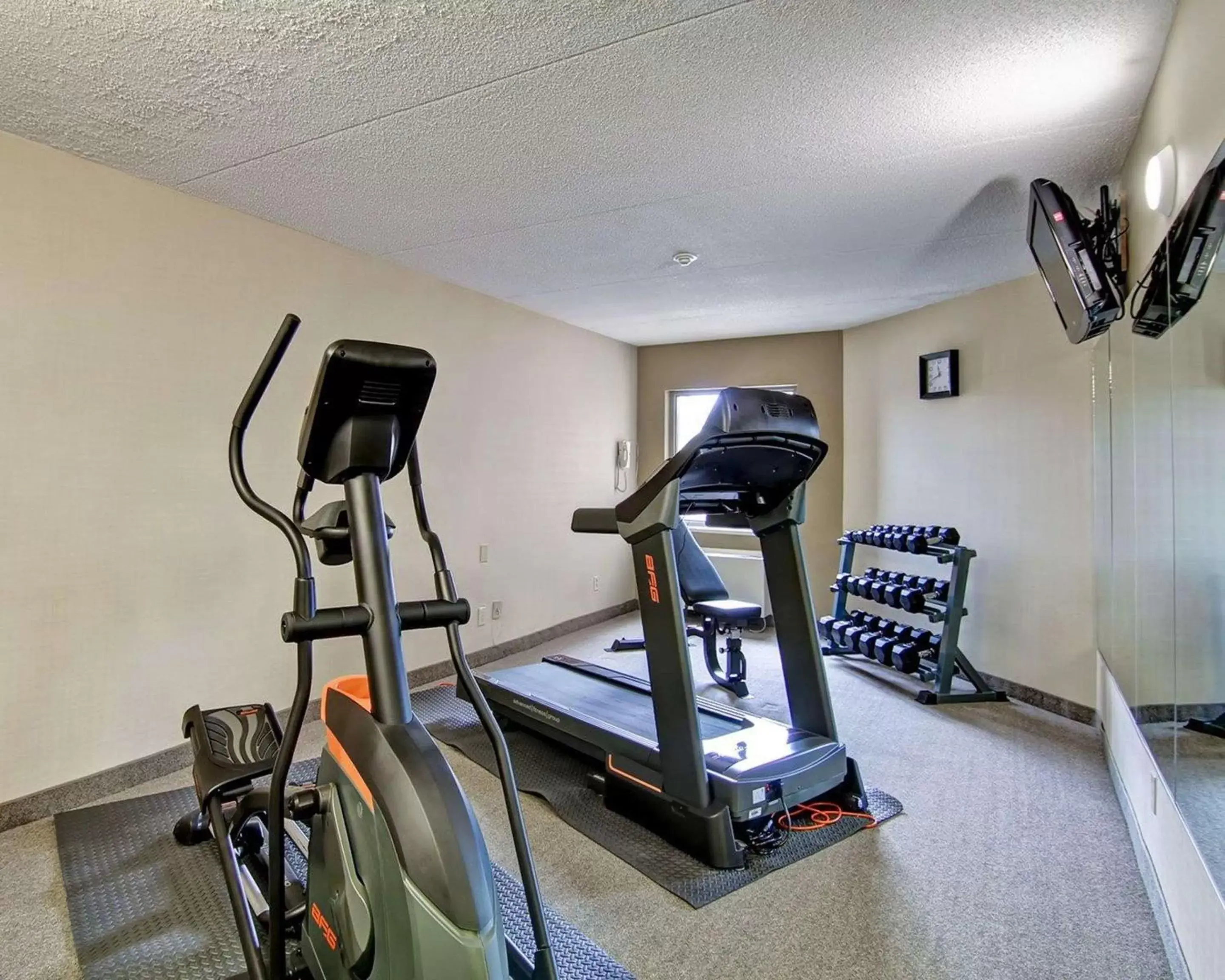 Fitness centre/facilities, Fitness Center/Facilities in Comfort Inn St. Catharines Niagara