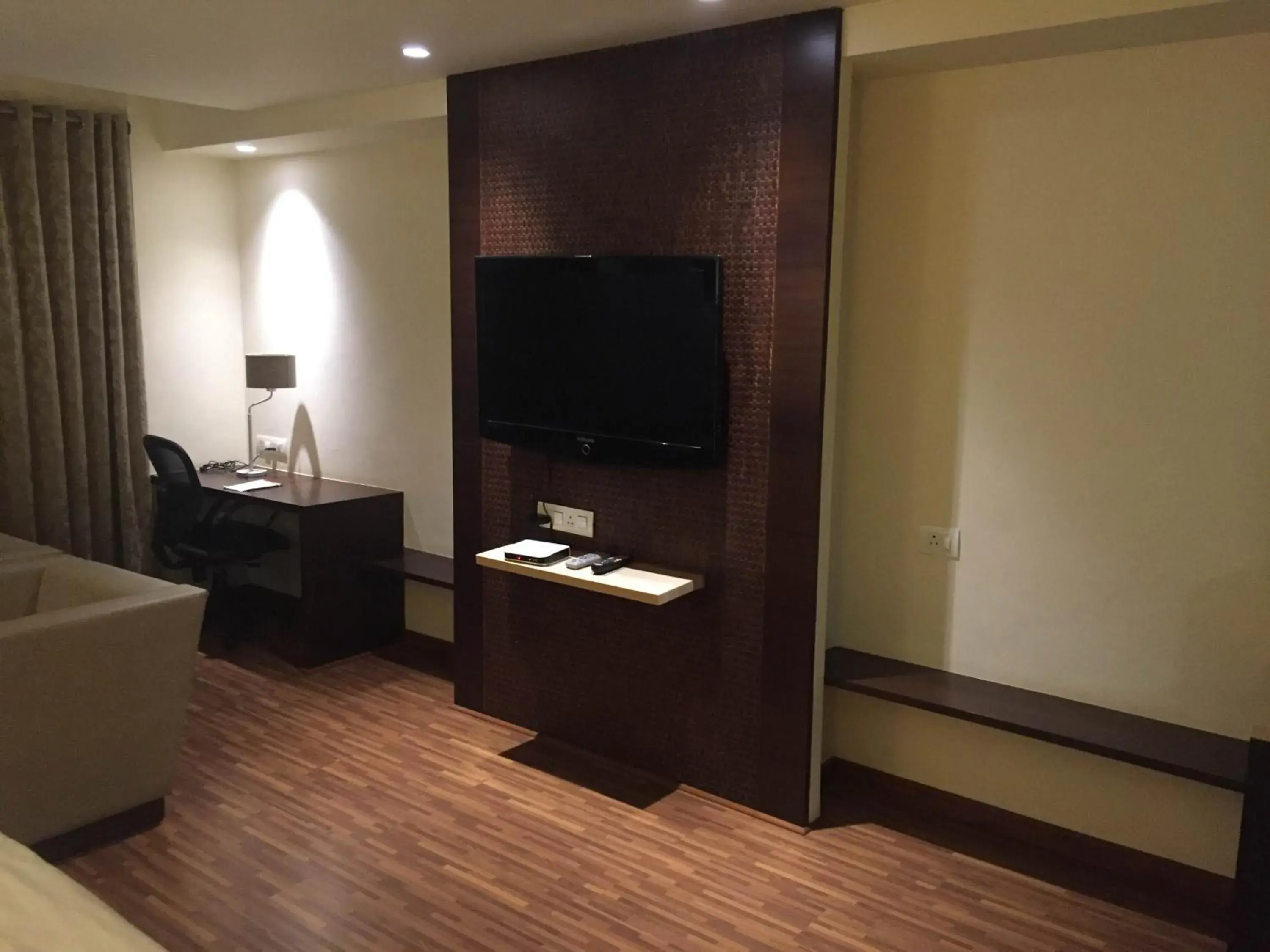 TV and multimedia in Hotel Platinum Inn