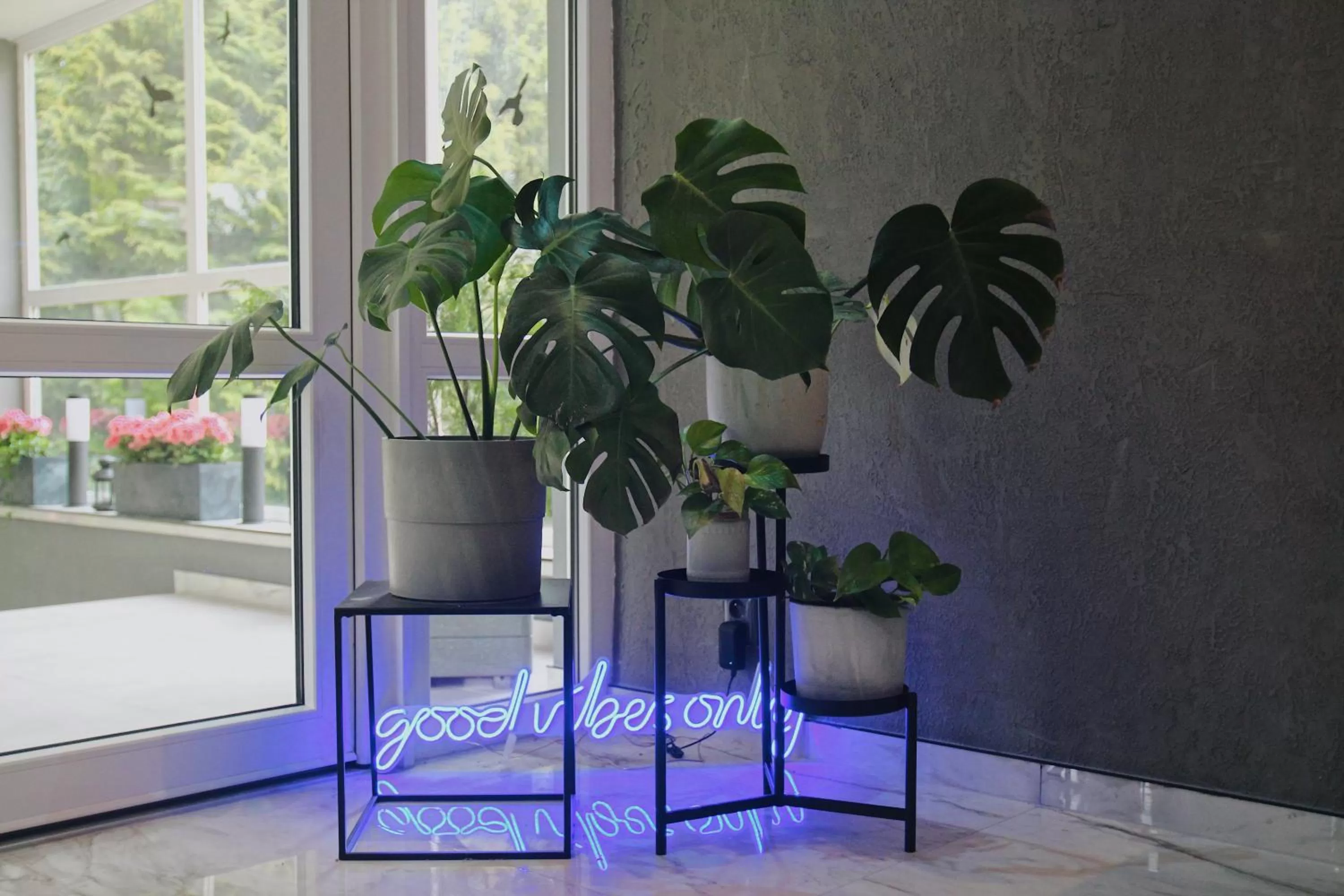 Lobby or reception in Hotel AMITY