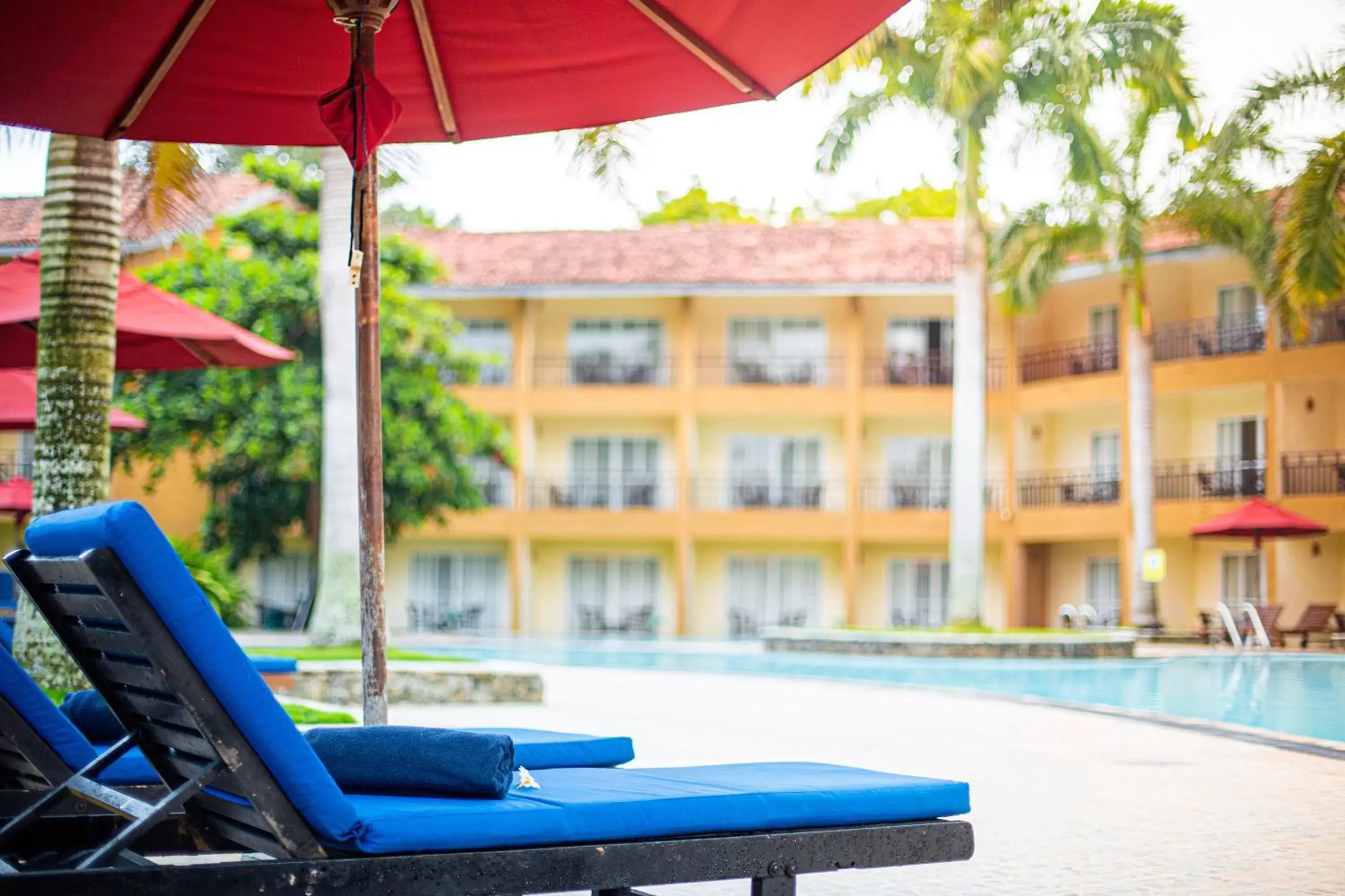 Property building, Swimming Pool in The Palms