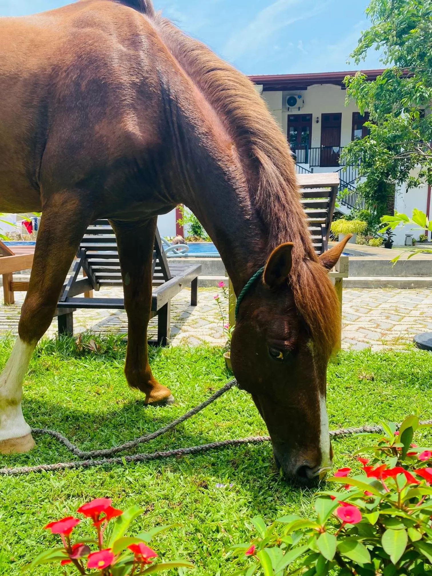 The Kingslayer Resort