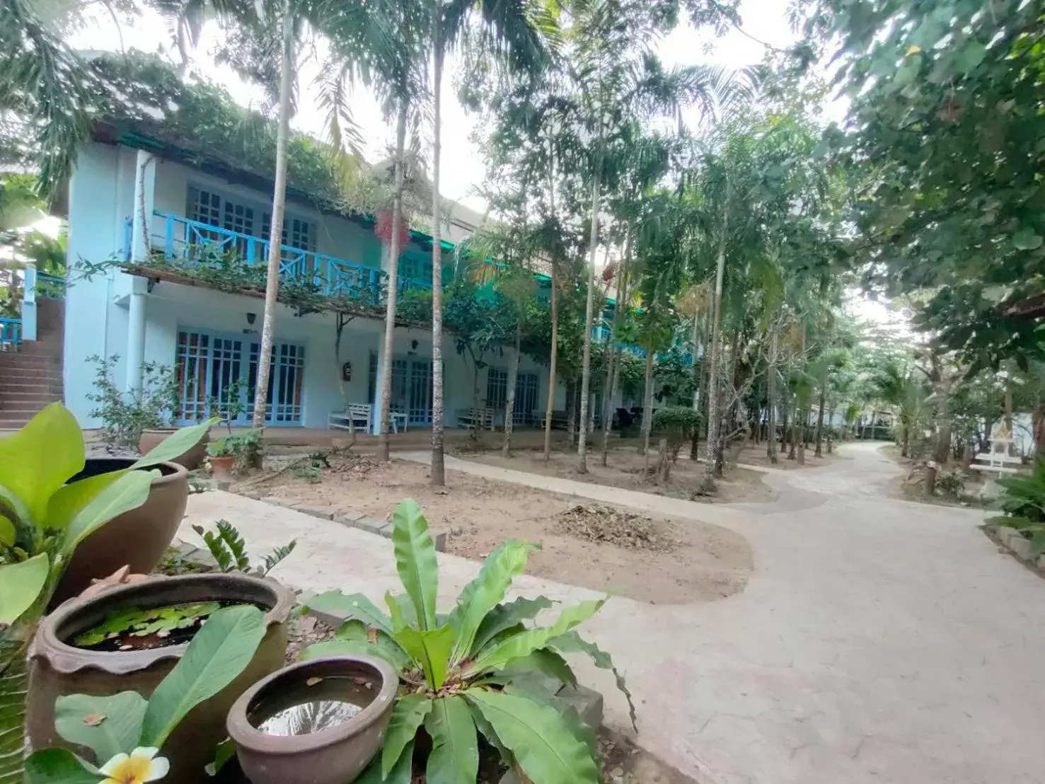 Property Building in Banana Beach Resort